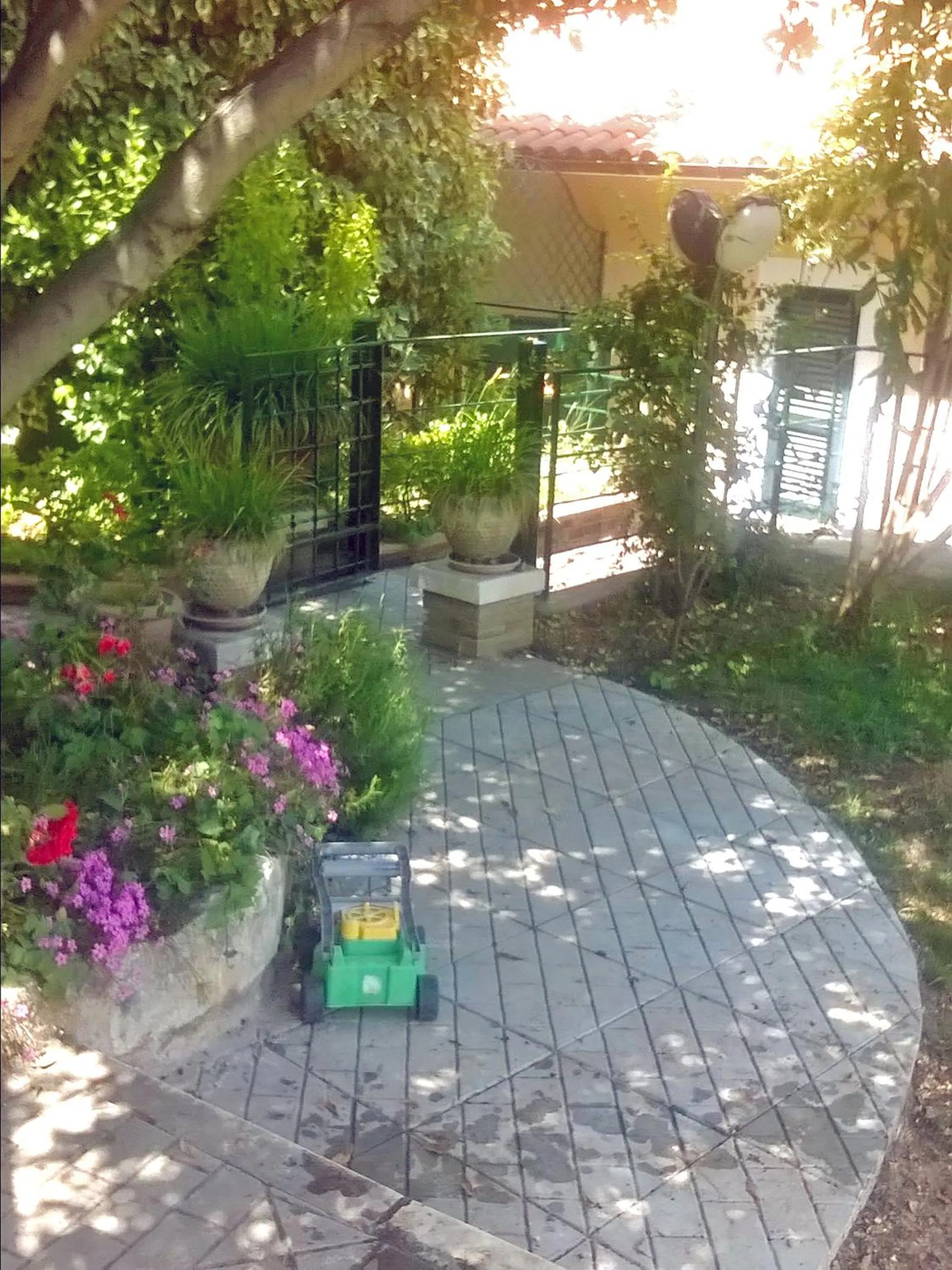 Garden in B&B Porta Bazzano