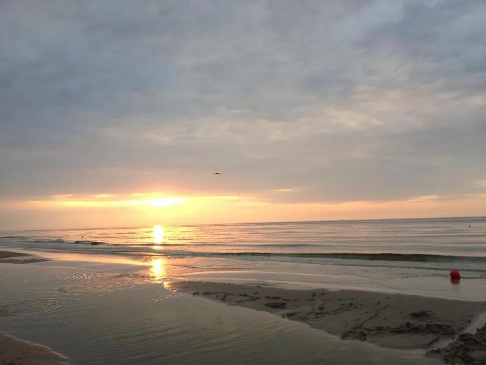 Day in Willa Białe Piaski Pokoje i Noclegi Białogóra