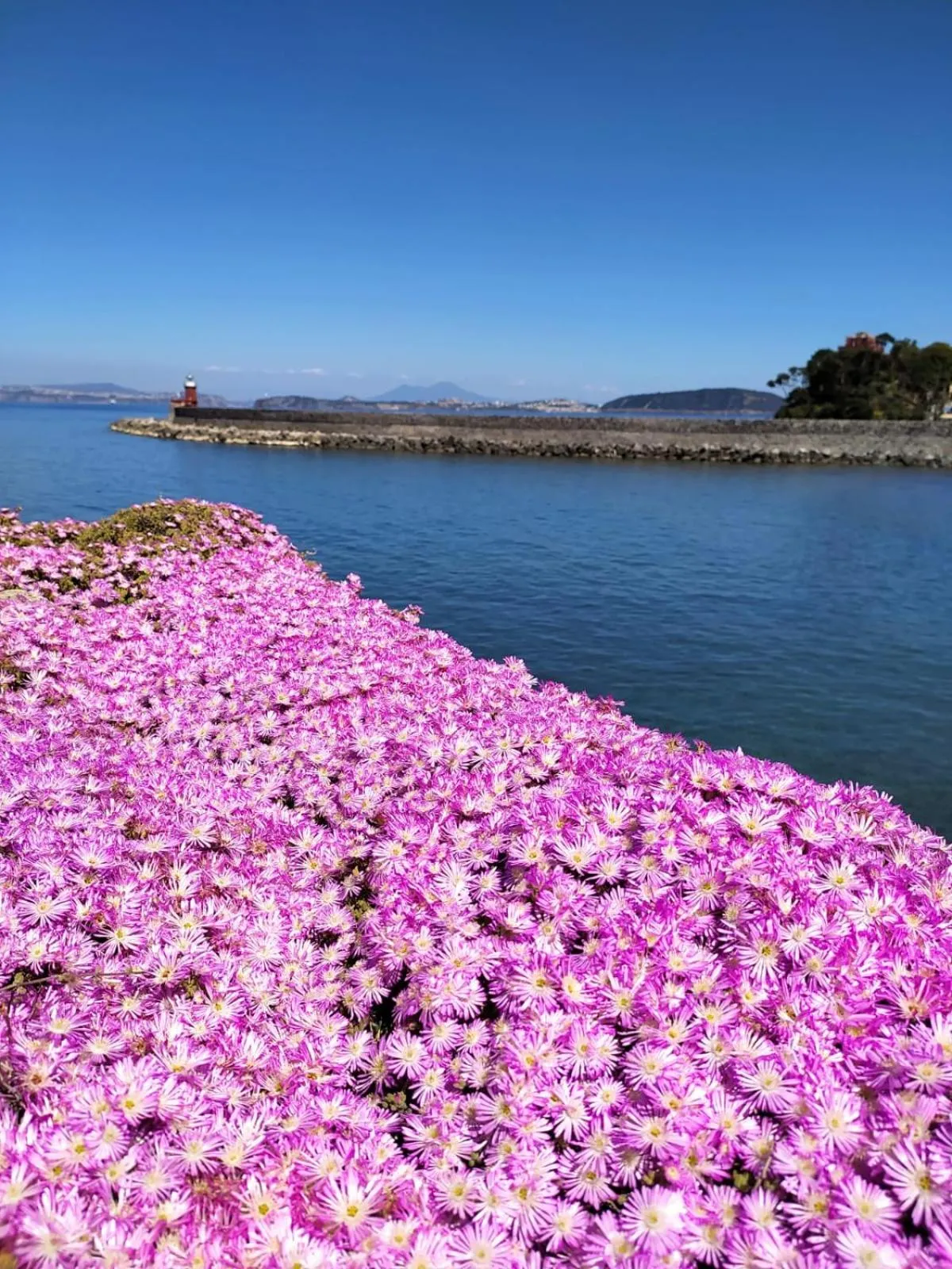 View (from property/room) in Pagoda Lifestyle Hotel
