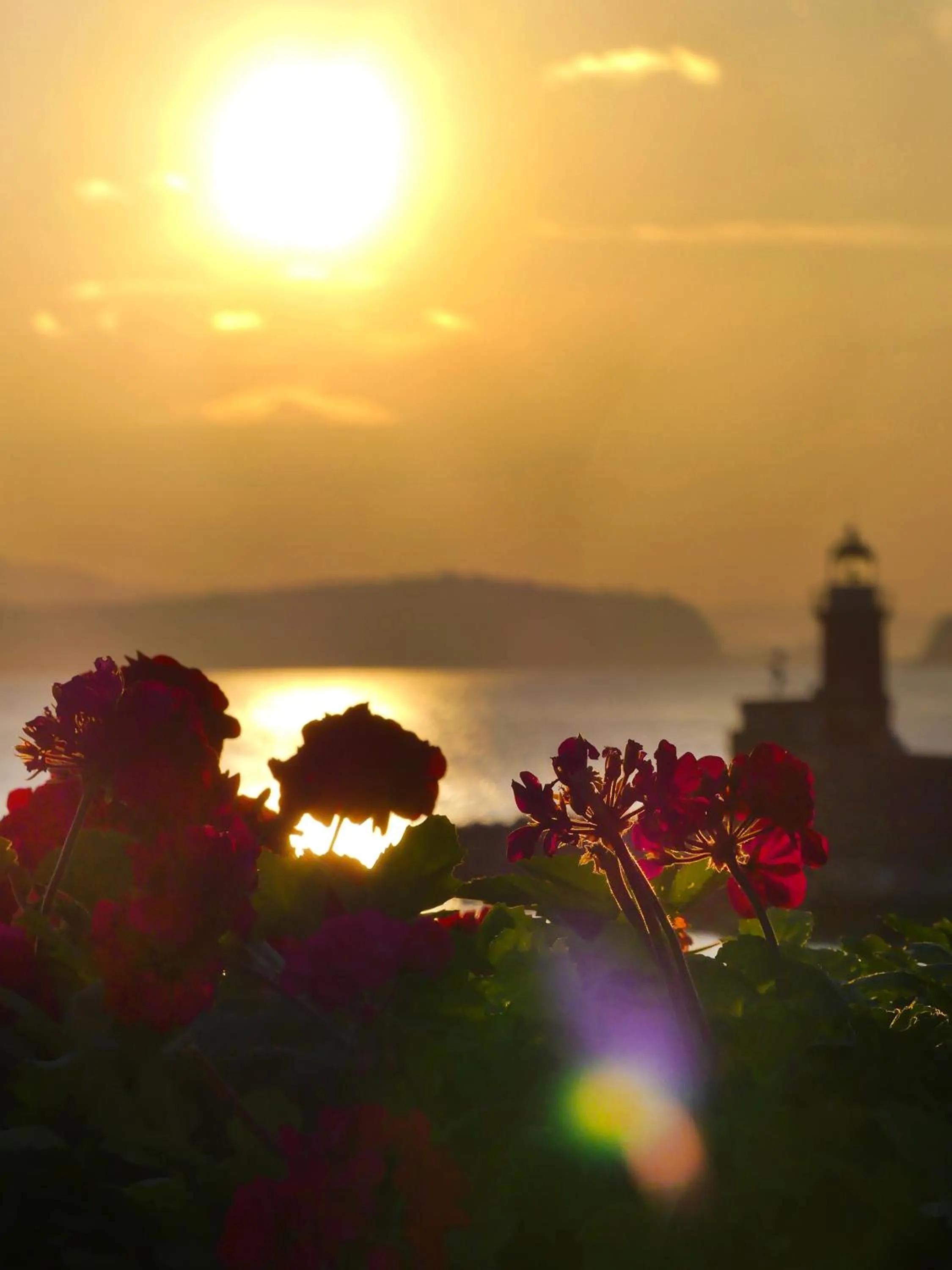 Sunrise in Pagoda Lifestyle Hotel