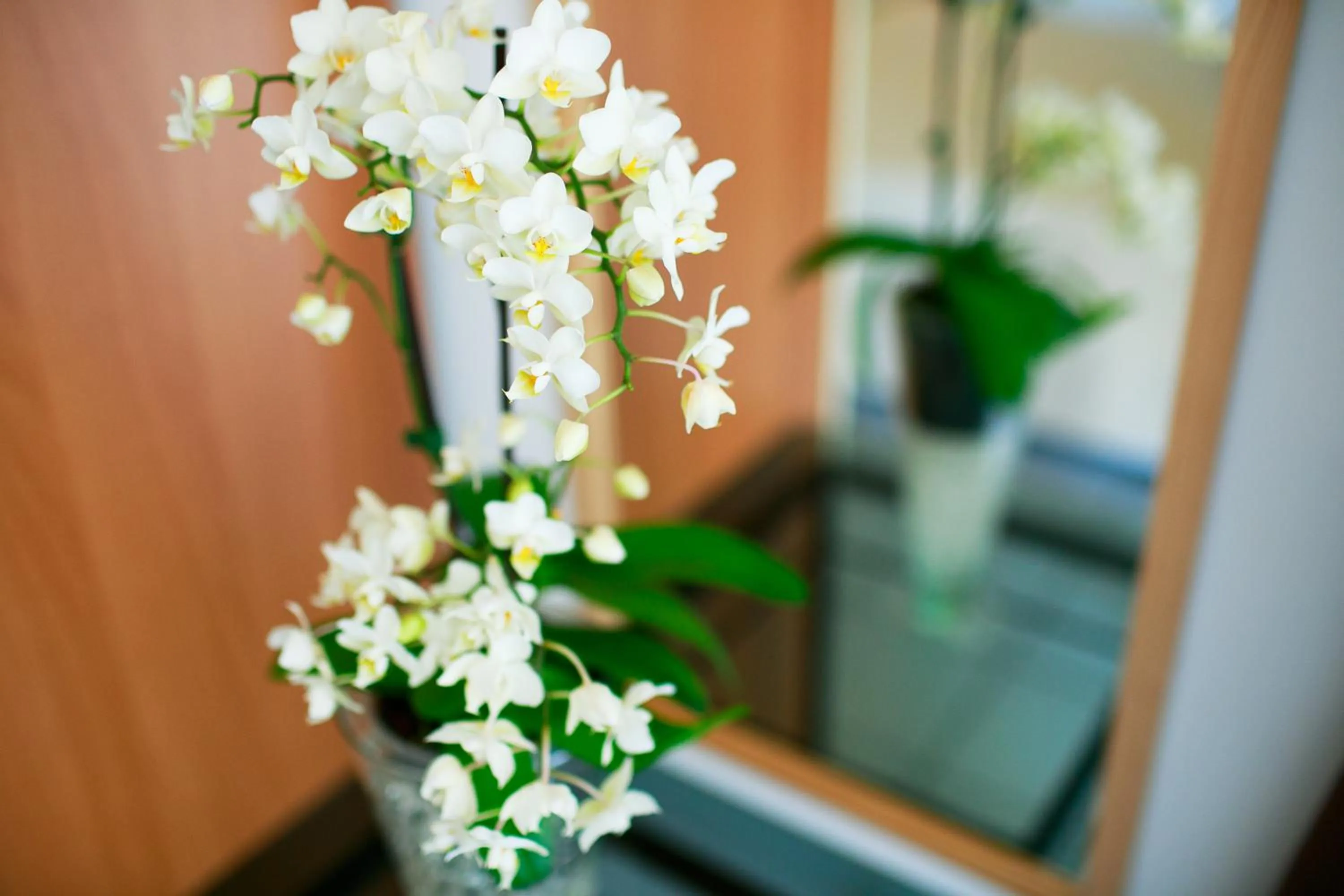 Lobby or reception in Nido Verde