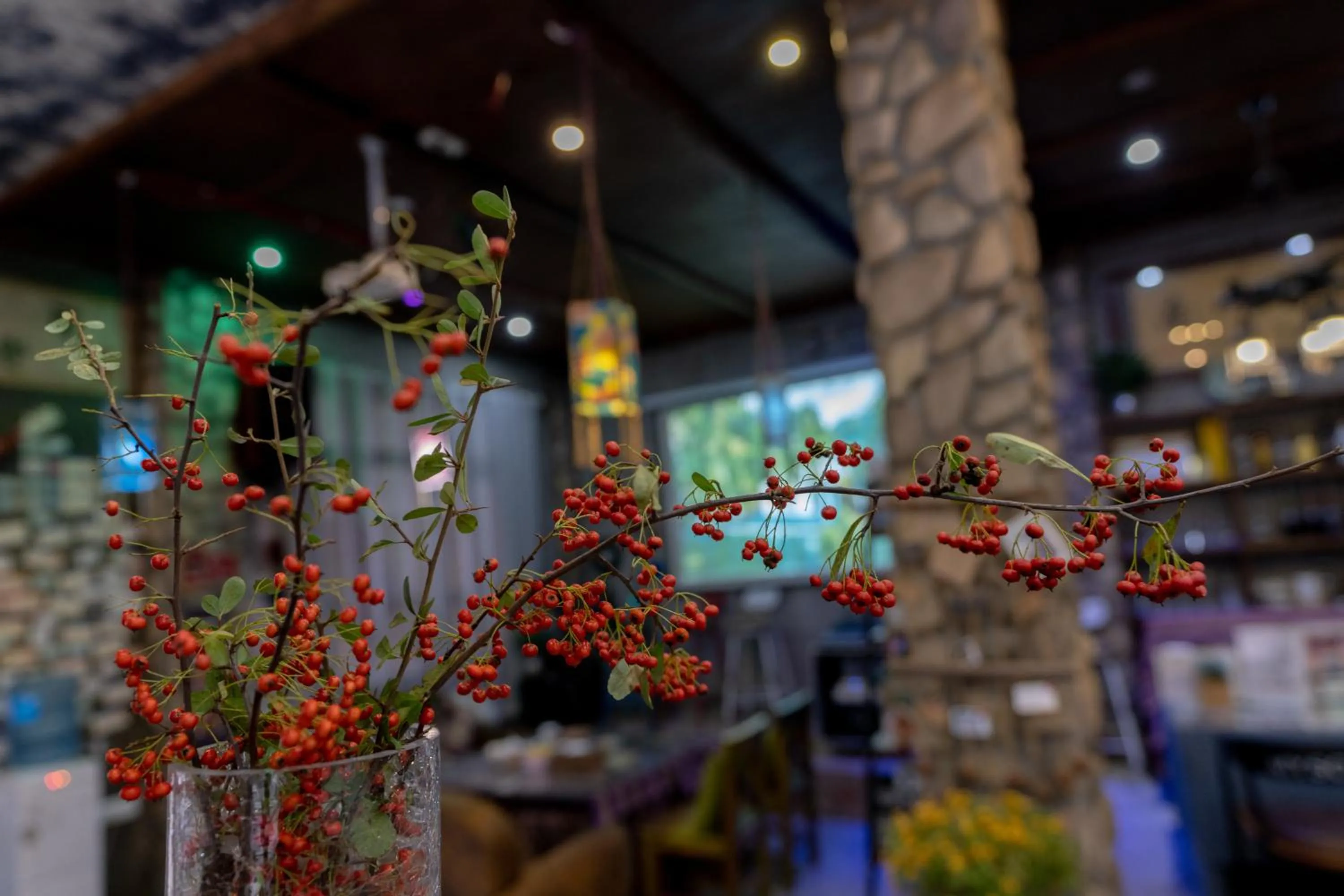 Library in Zhangjiajie Nanfang Yinan Hotel