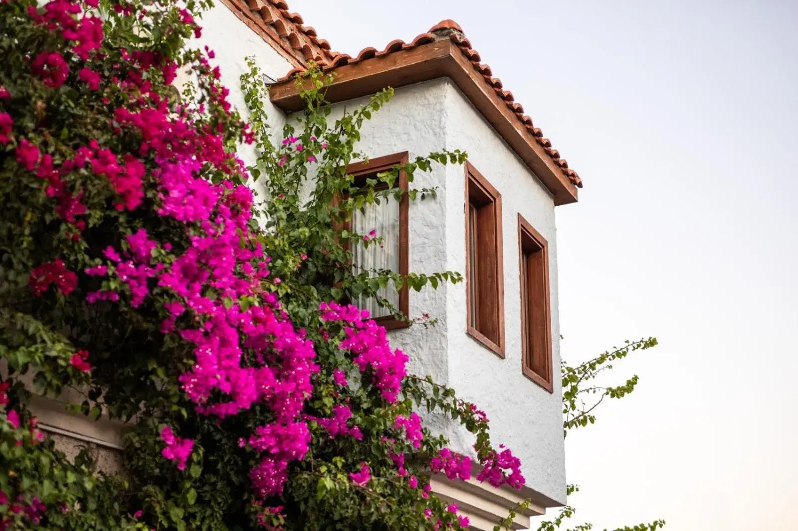 Property building in Jakamar Alacati Property building in Jakamar Alacati