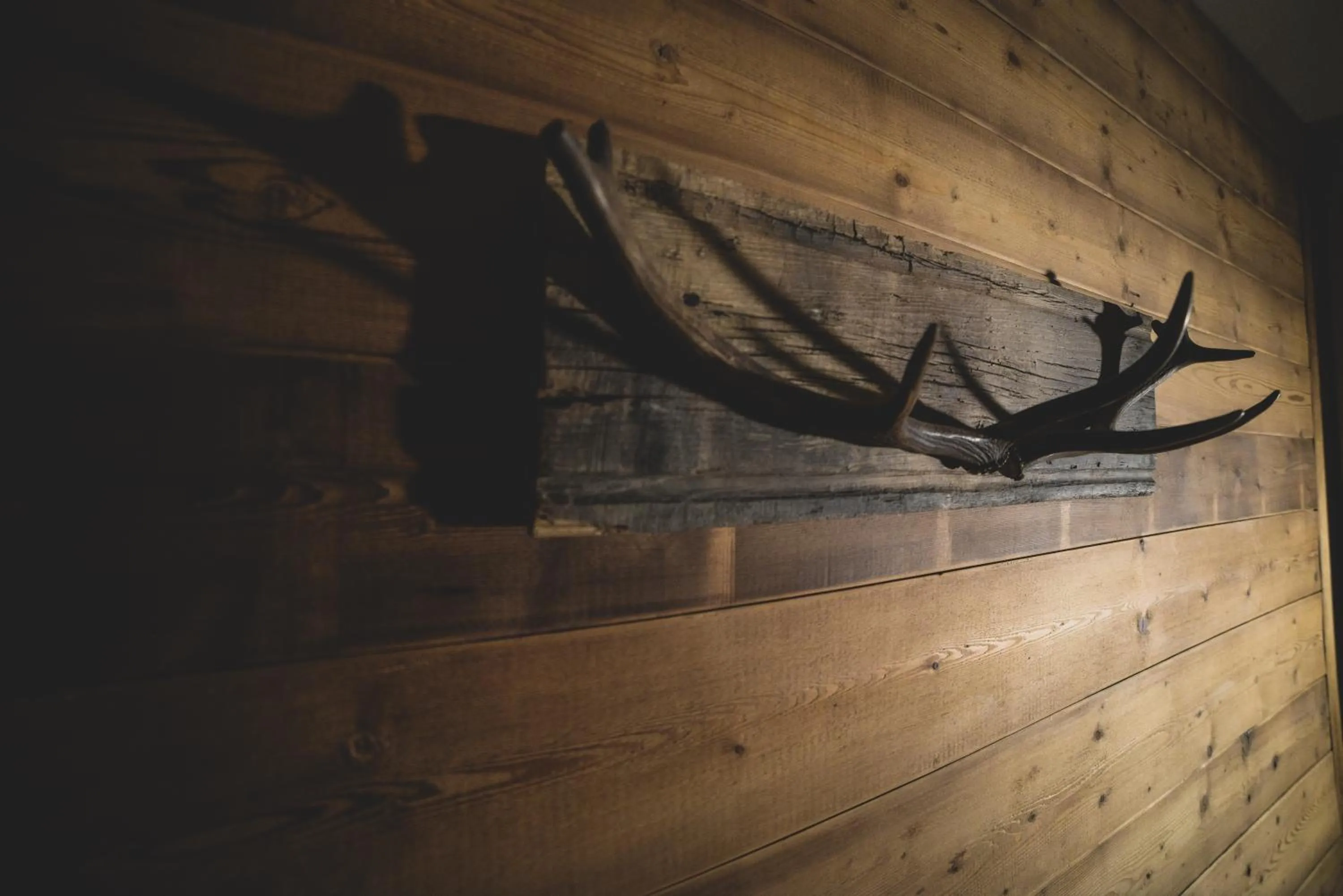 Decorative detail in Chalet Della Guida