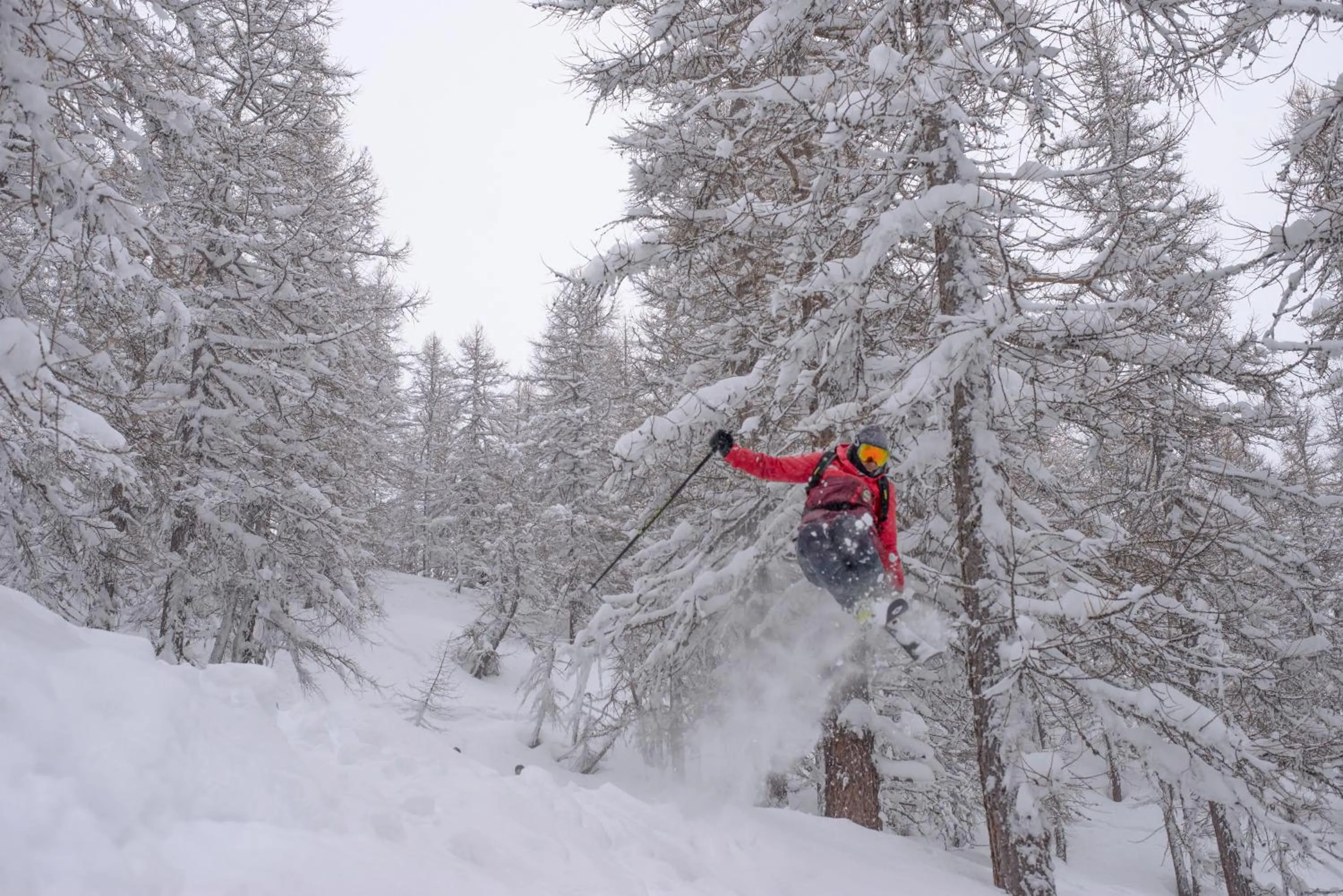 Winter in Chalet Della Guida