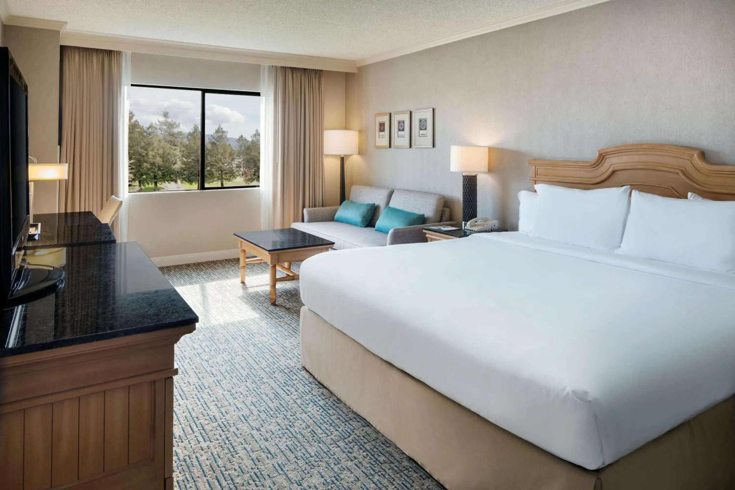 1 KING WITH COURTYARD VIEW in DoubleTree by Hilton Sonoma Wine Country 1 KING WITH COURTYARD VIEW in DoubleTree by Hilton Sonoma Wine Country