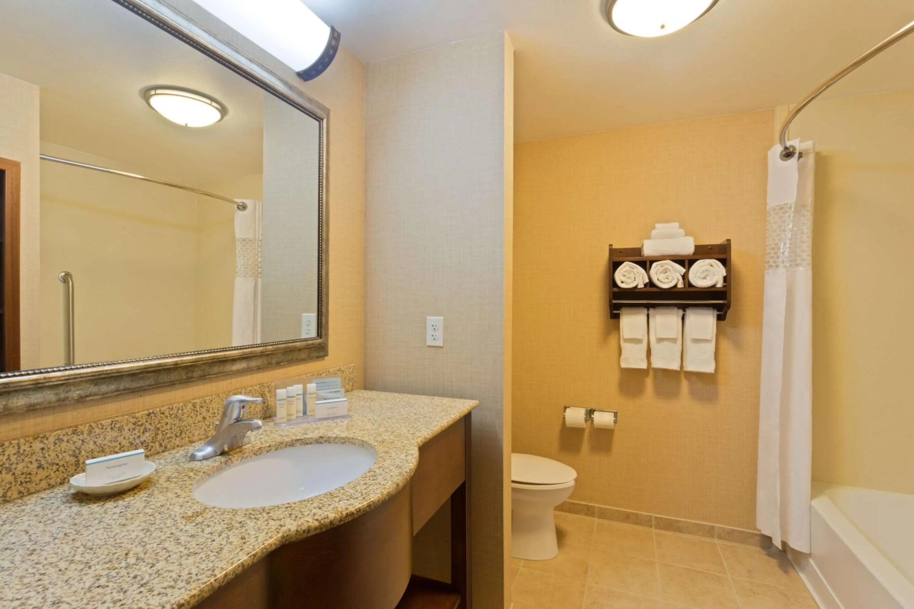 Bathroom in Hampton Inn Leesburg Tavares