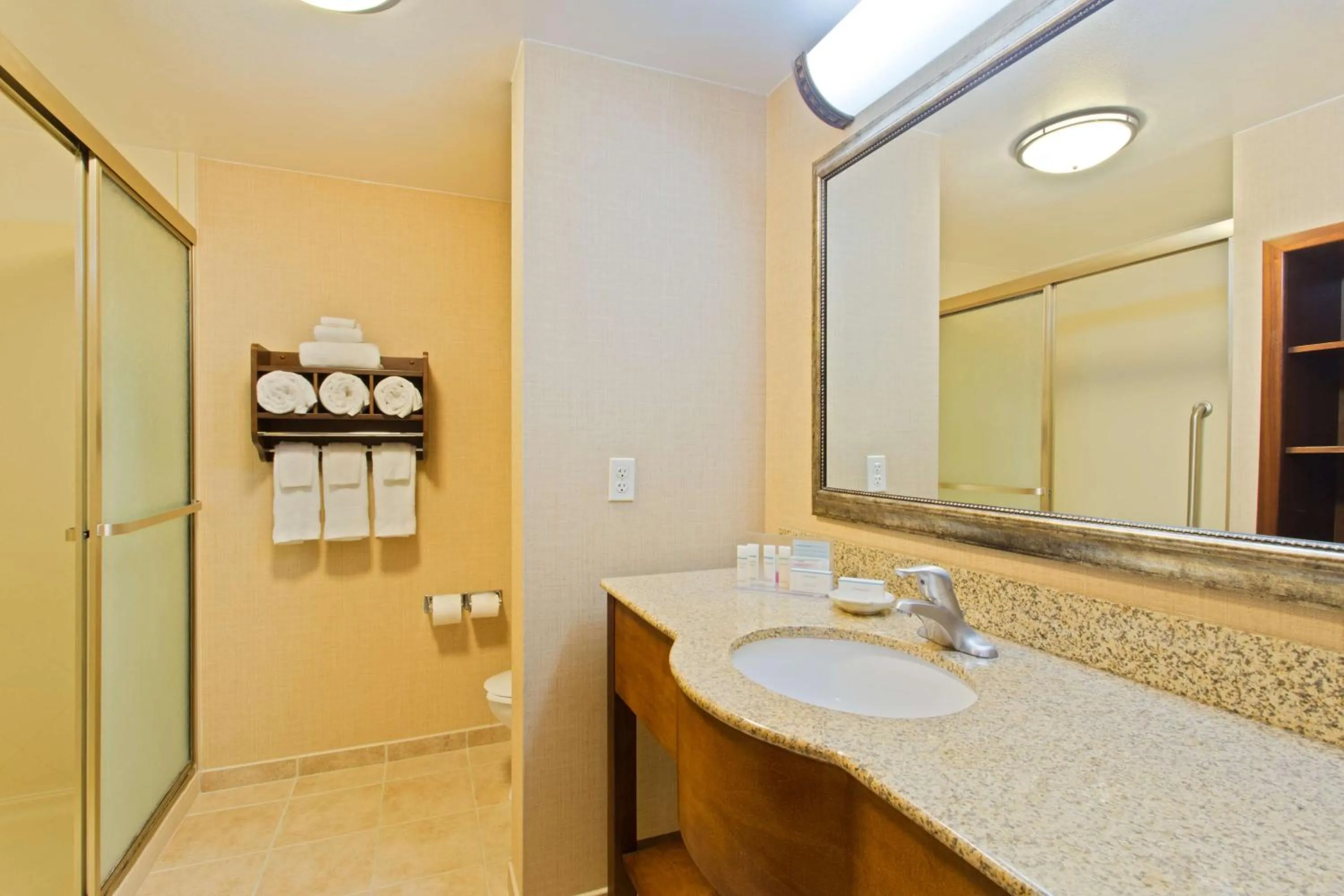 Bathroom in Hampton Inn Leesburg Tavares