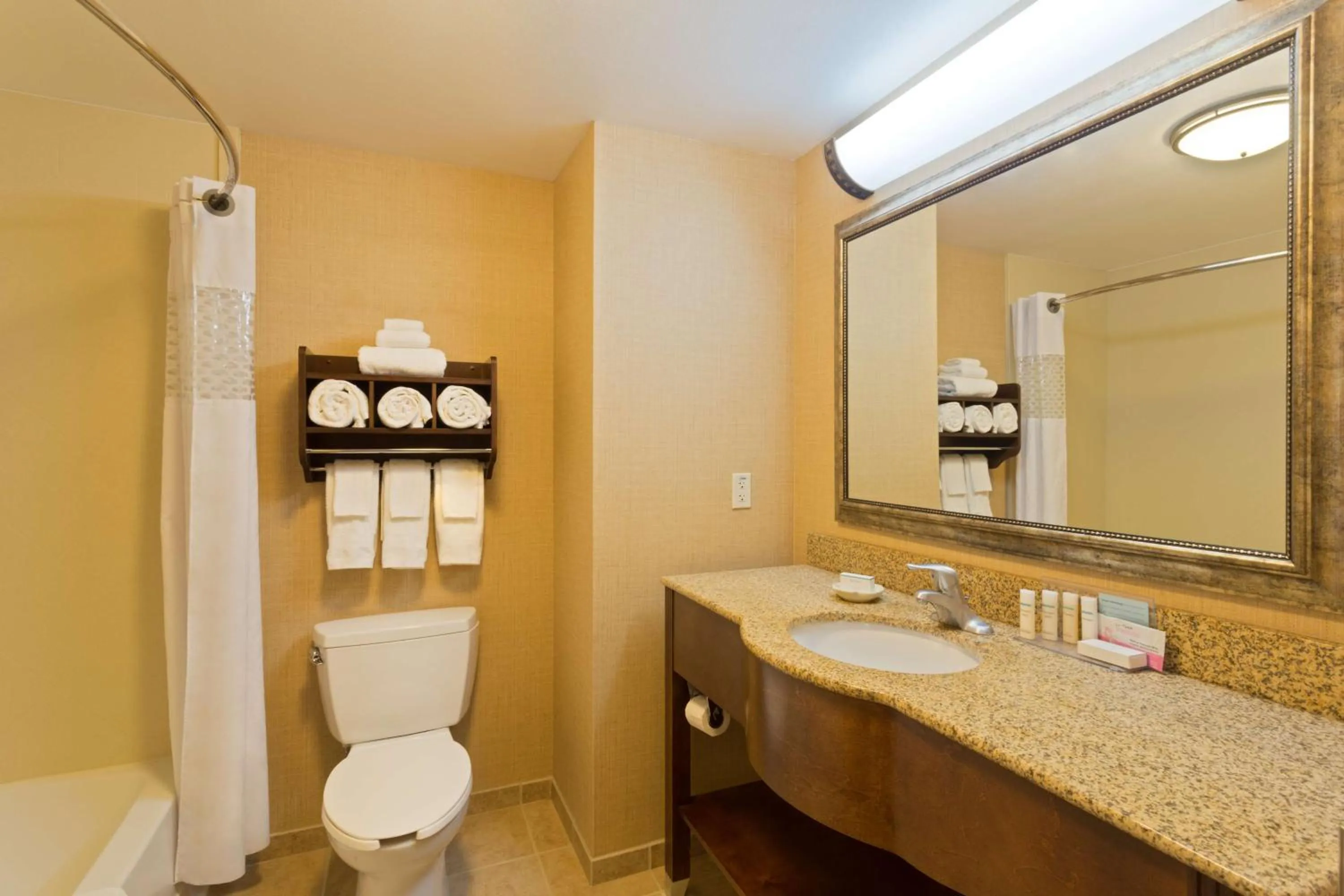 Bathroom in Hampton Inn Leesburg Tavares