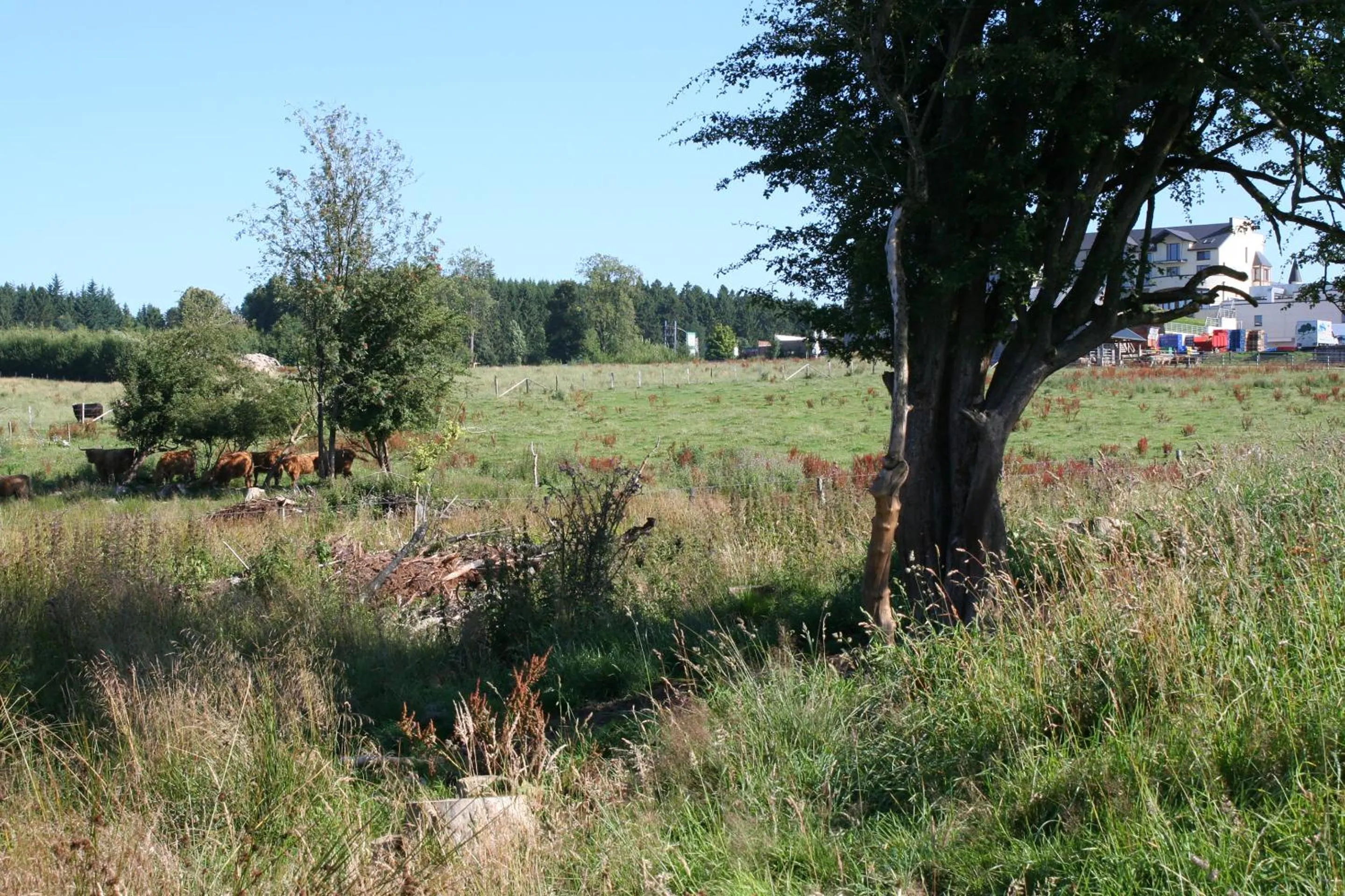 Hiking in Hotel Wemperhardt