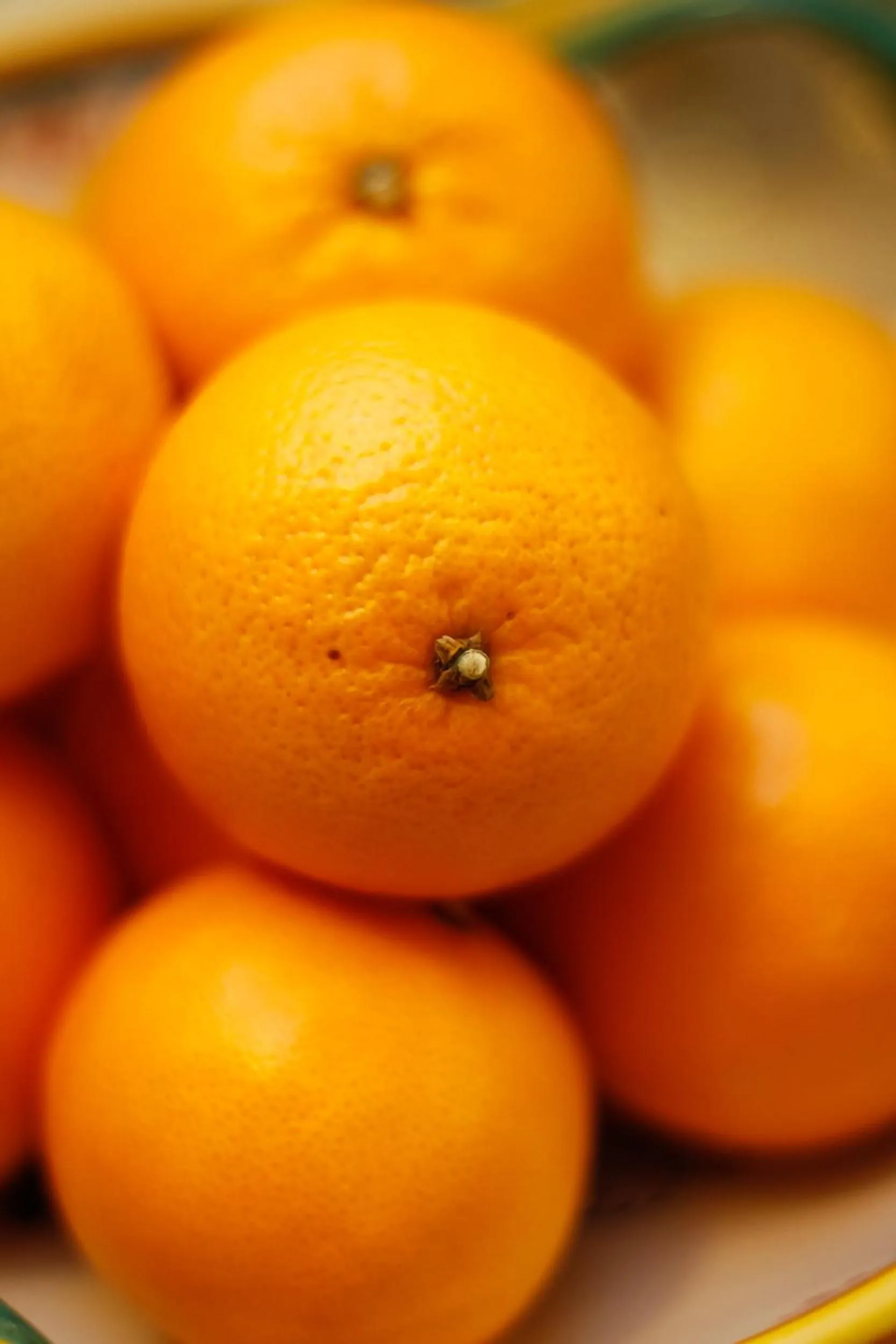 Food close-up in Albergo della Ceramica