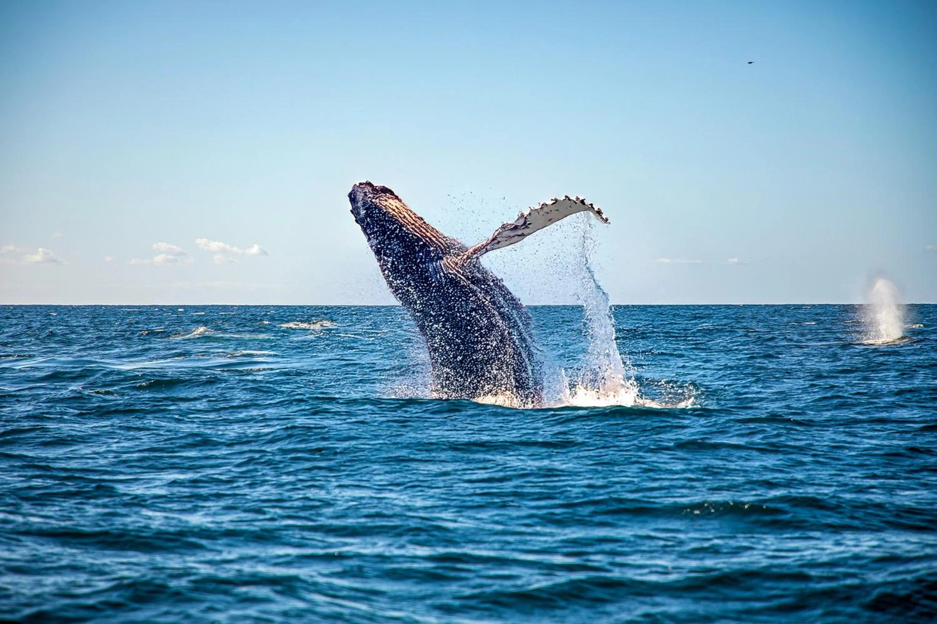 Day in ME Cabo by Meliá