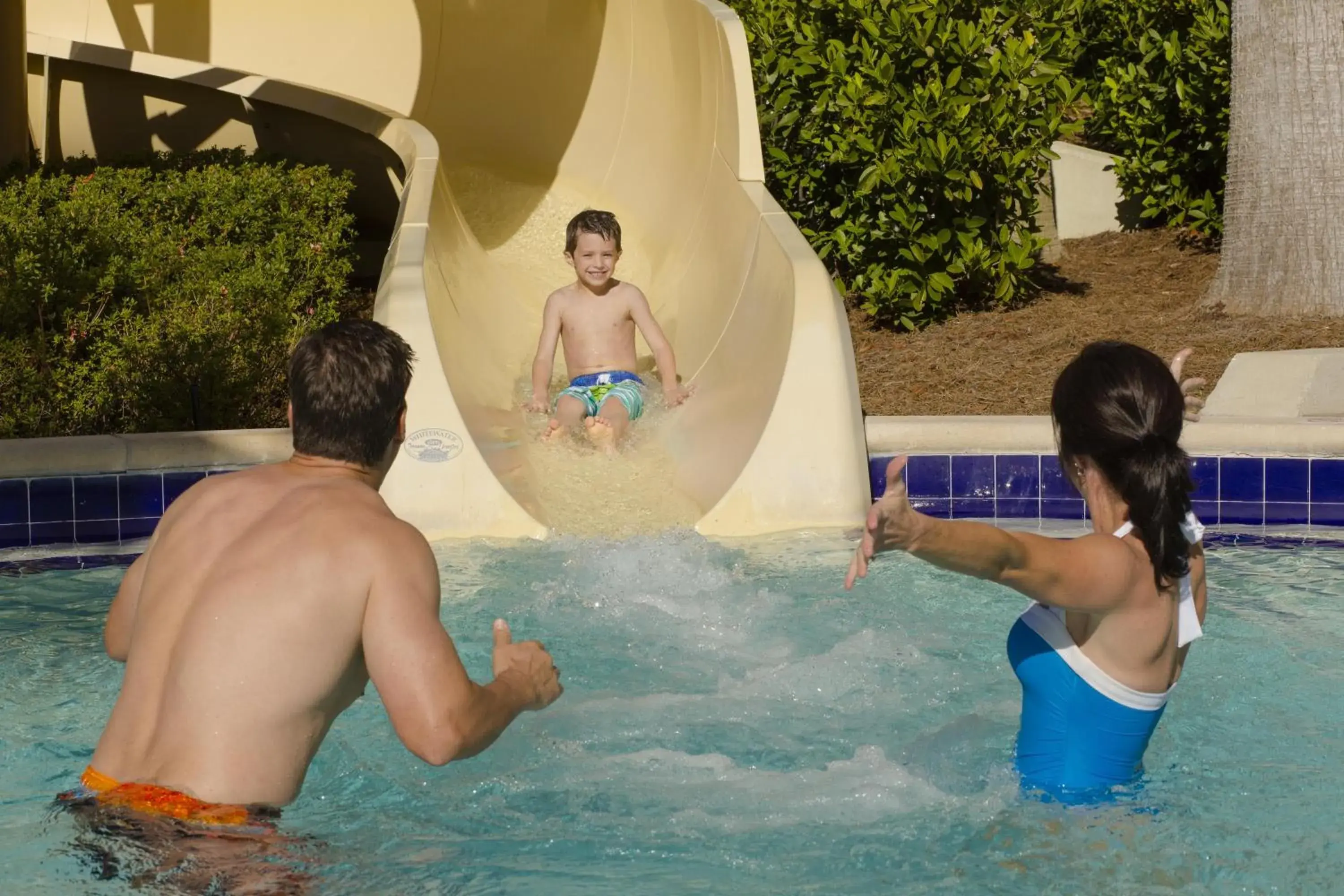 Pool view in Signia by Hilton Orlando - An Official Walt Disney World Hotel Pool view in Signia by Hilton Orlando - An Official Walt Disney World Hotel
