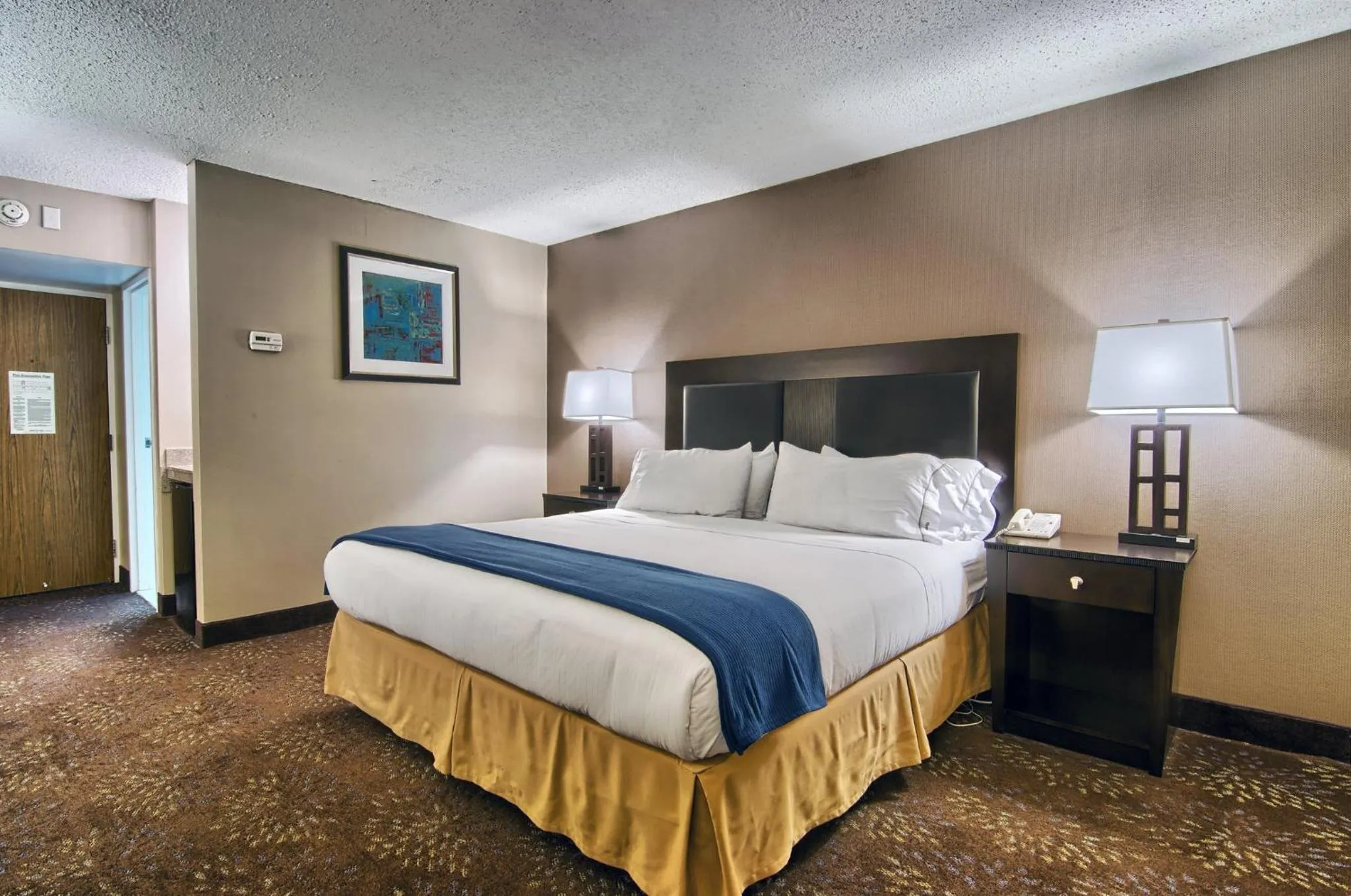 Photo of the whole room, Bed in Holiday Inn Express Detroit-Birmingham by IHG