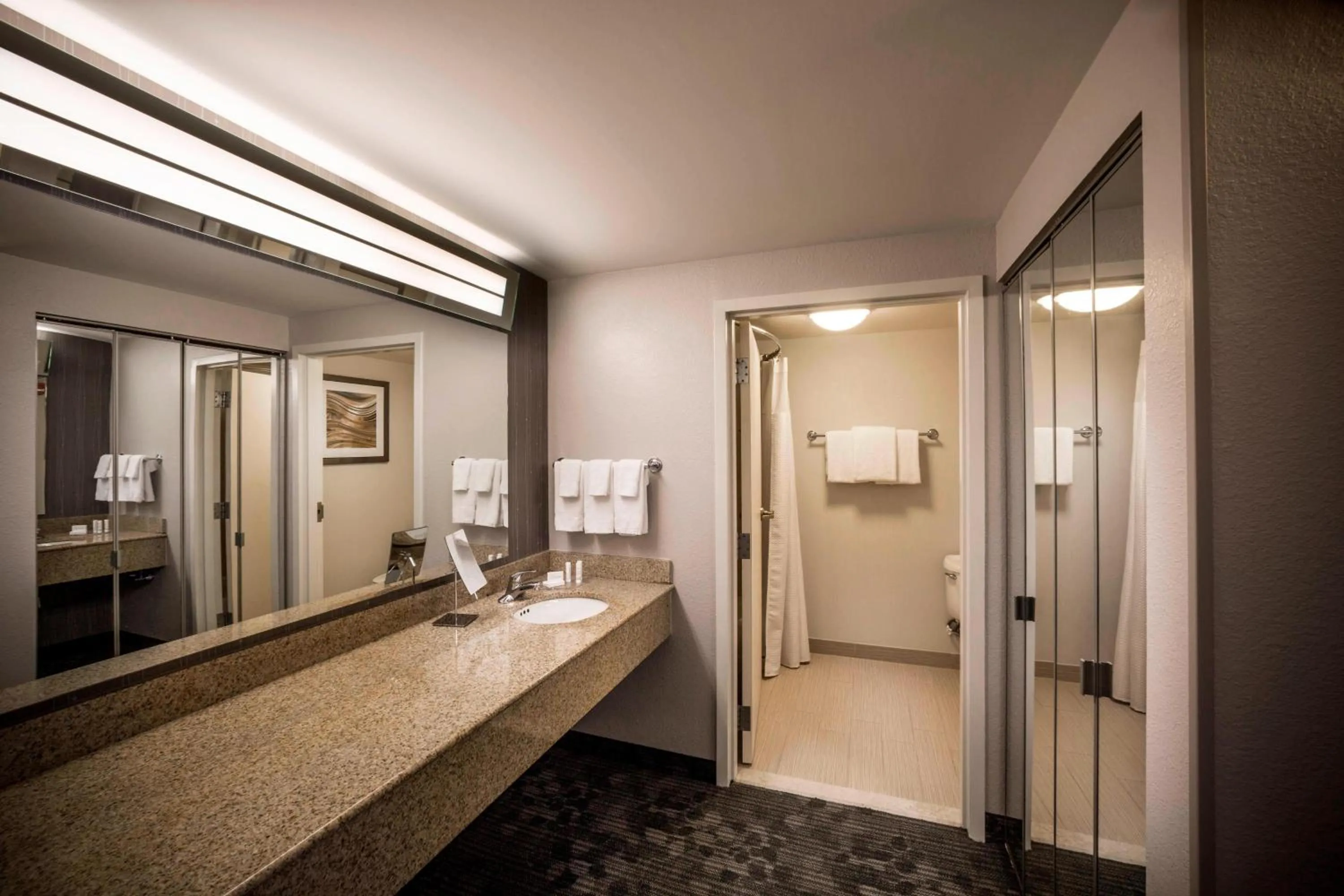 Bathroom, Bed in Courtyard by Marriott Norfolk Downtown