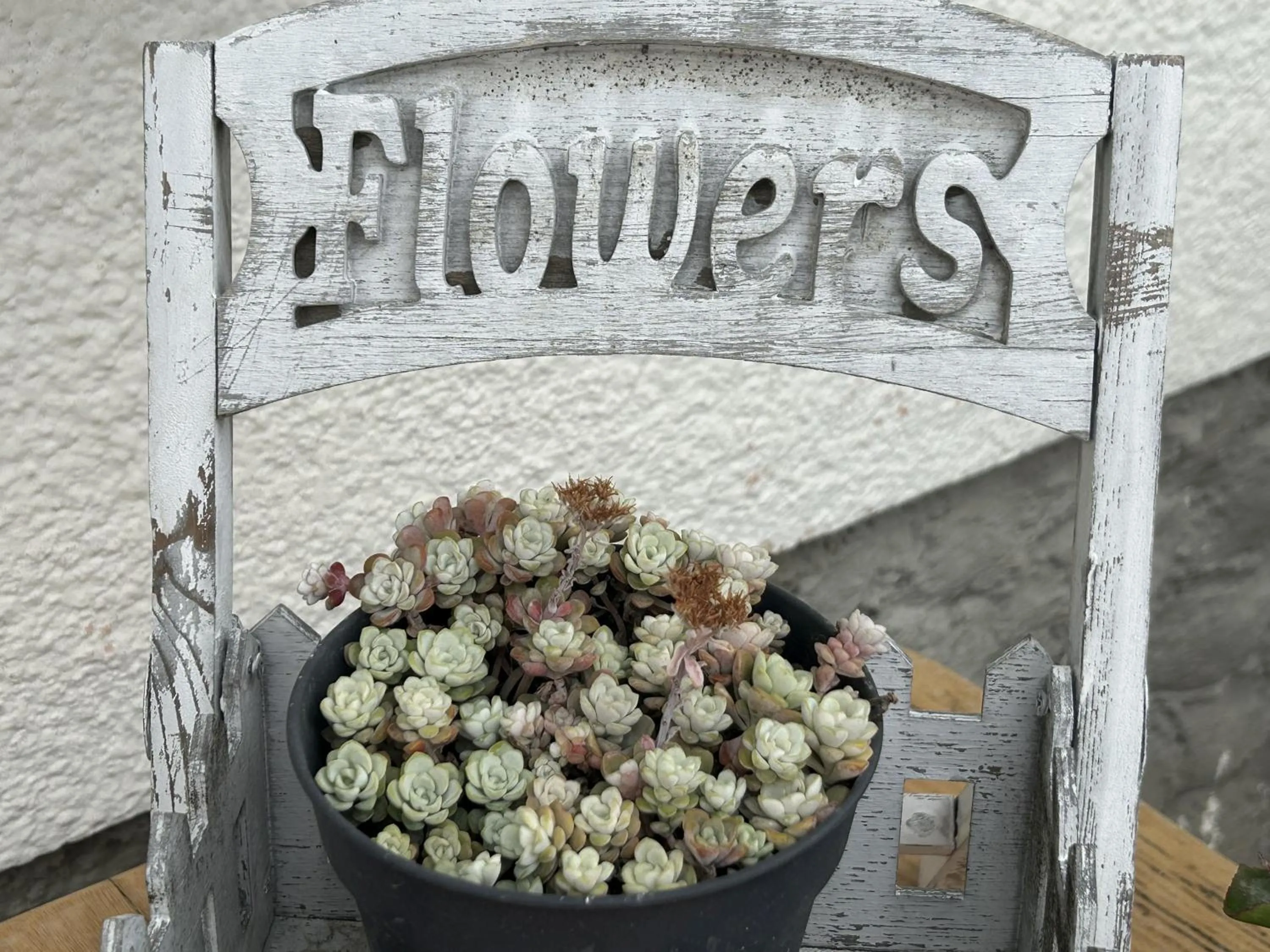 Property building in Old Bled House
