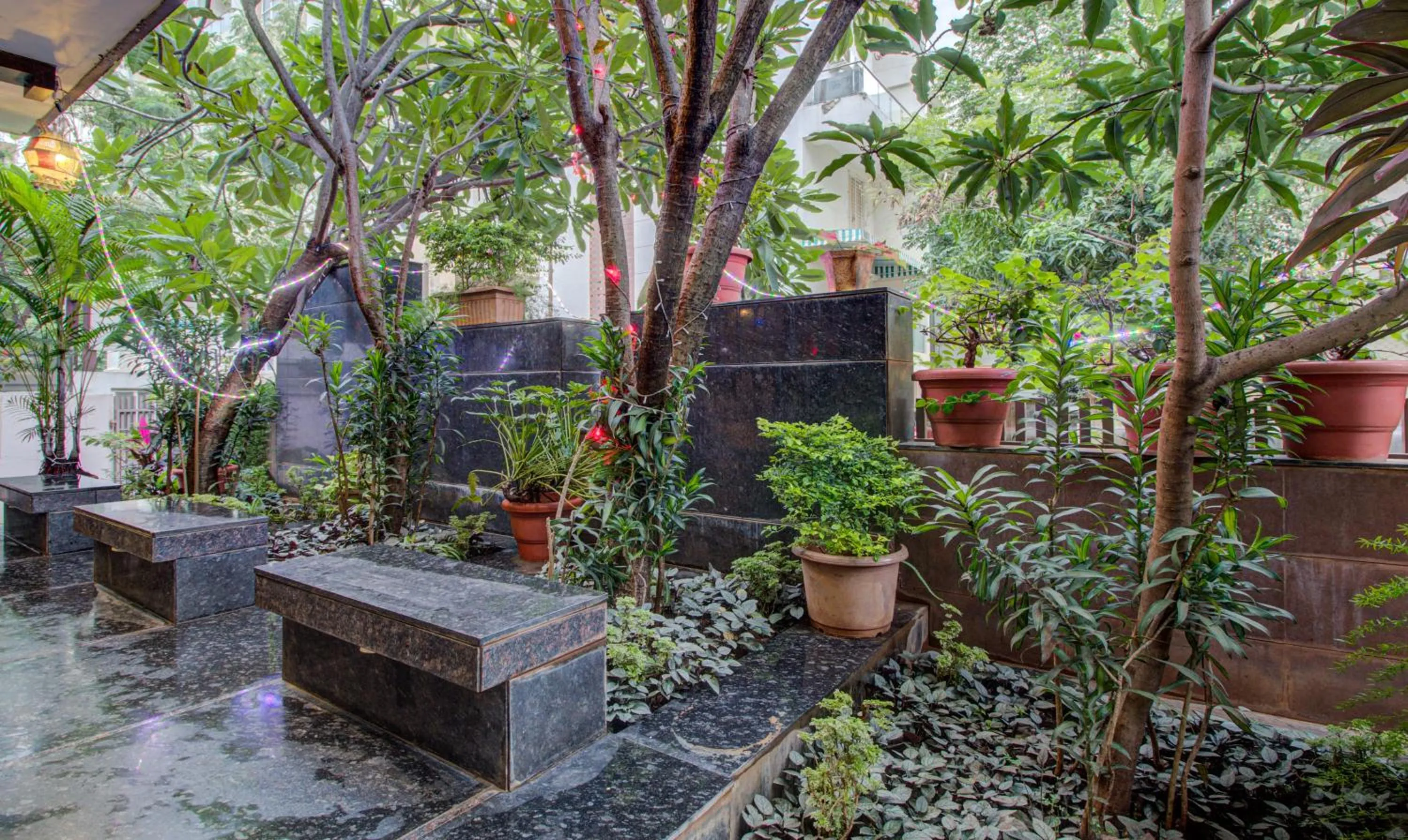 Garden in Treebo Sumati Baner