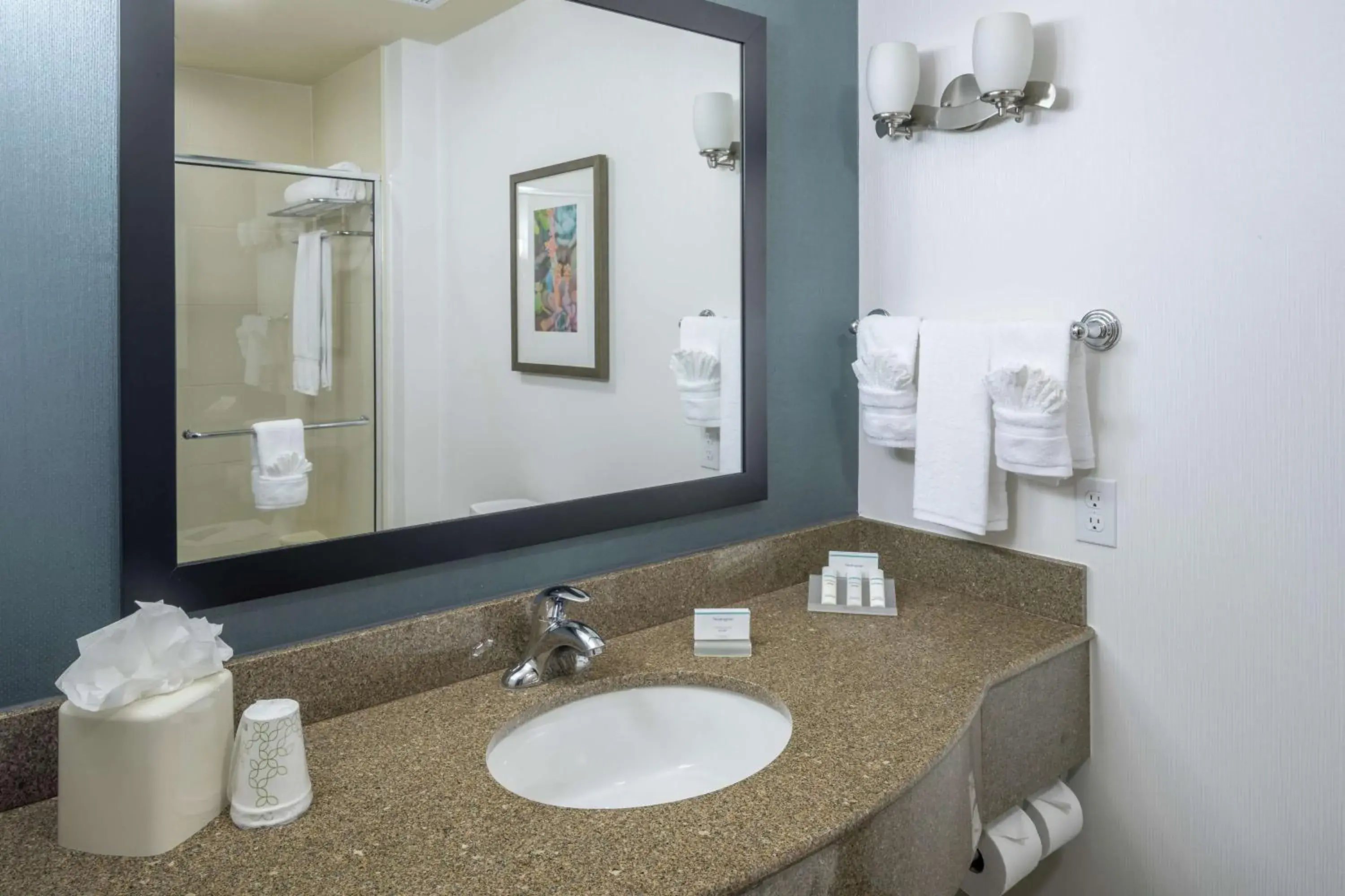 Bathroom in Hilton Garden Inn DFW North Grapevine Bathroom in Hilton Garden Inn DFW North Grapevine