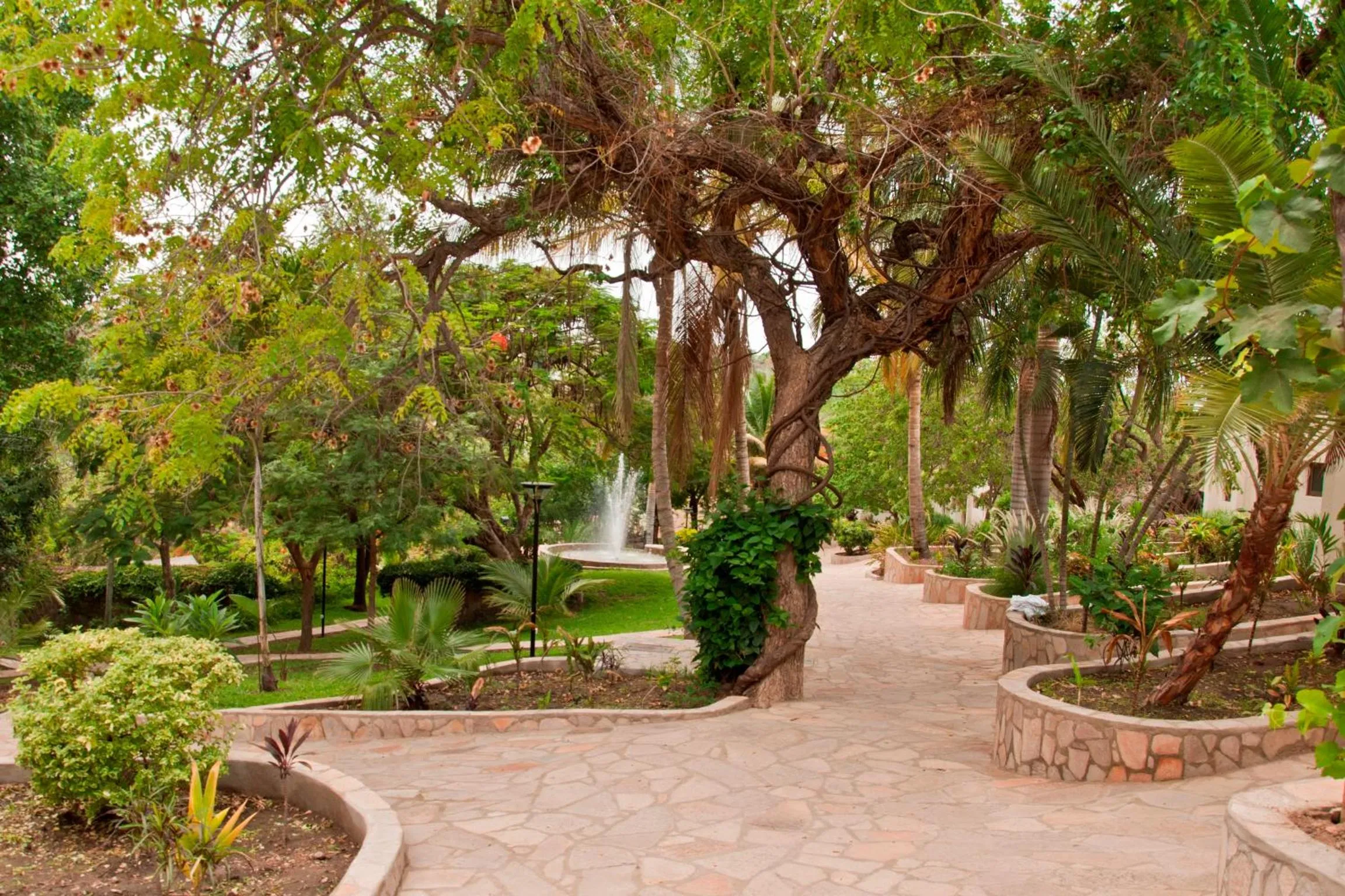 Garden in Lake Kariba Inns