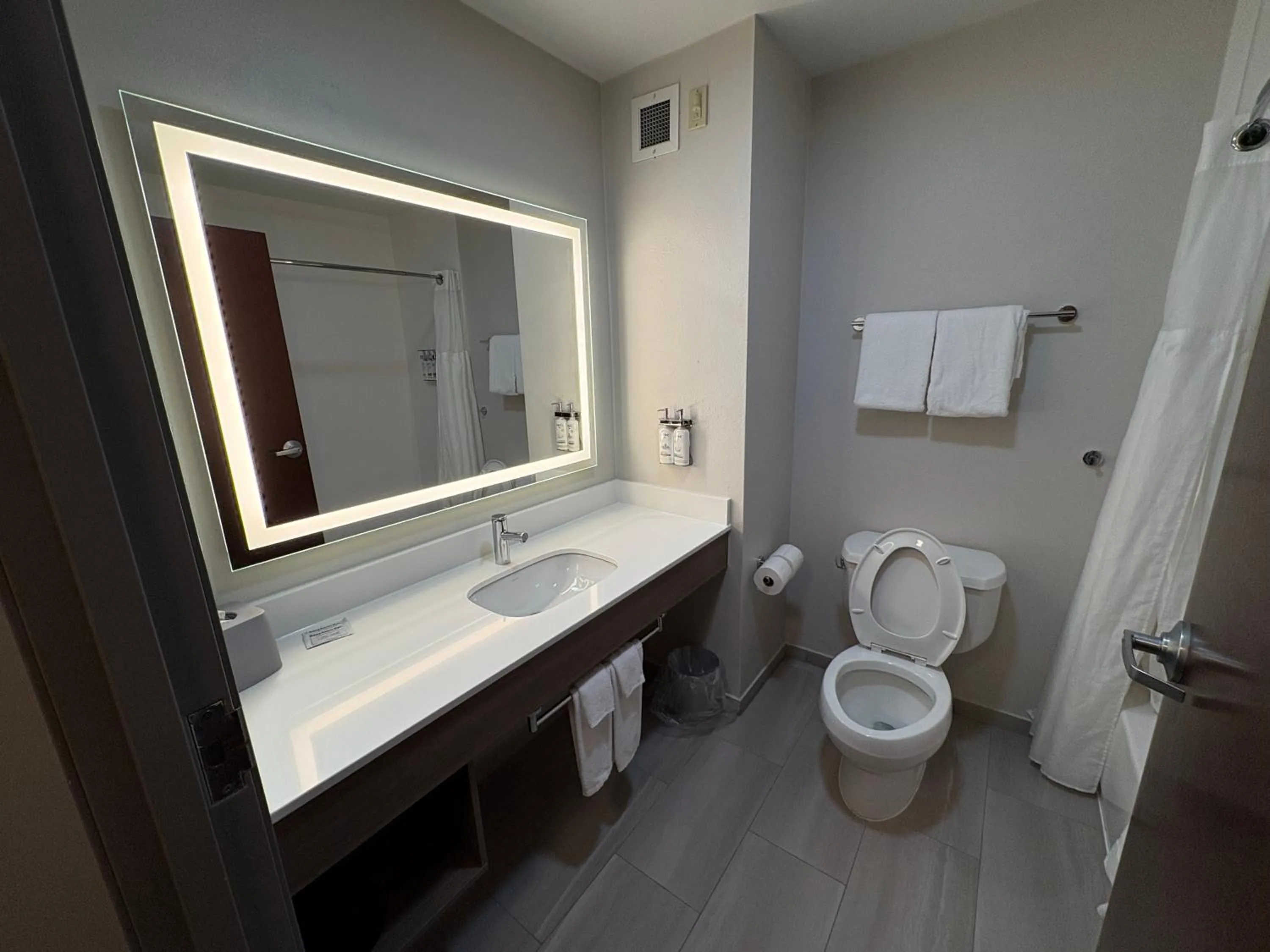 Bathroom in Holiday Inn Express Hotel & Suites Lafayette by IHG