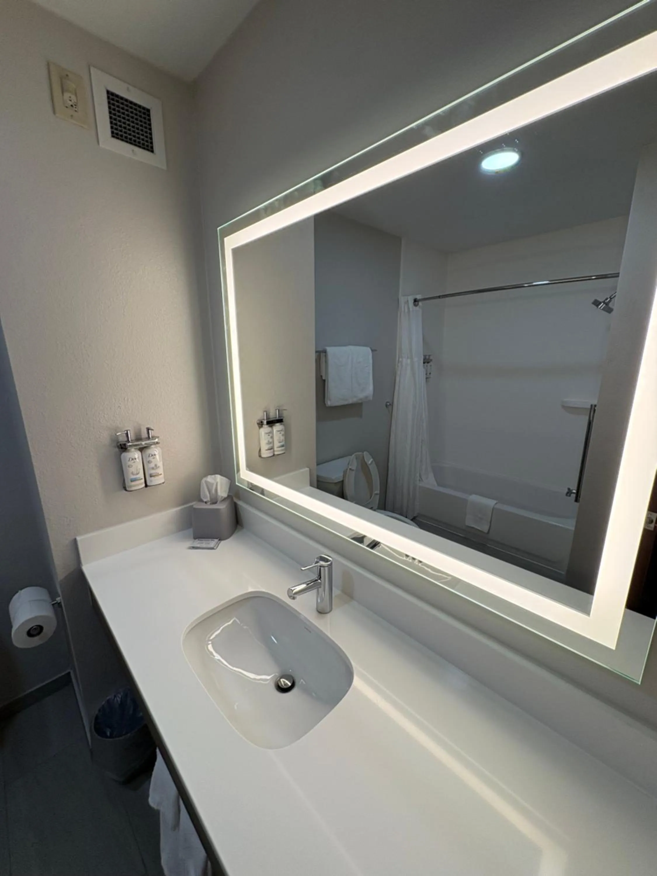 Bathroom in Holiday Inn Express Hotel & Suites Lafayette by IHG