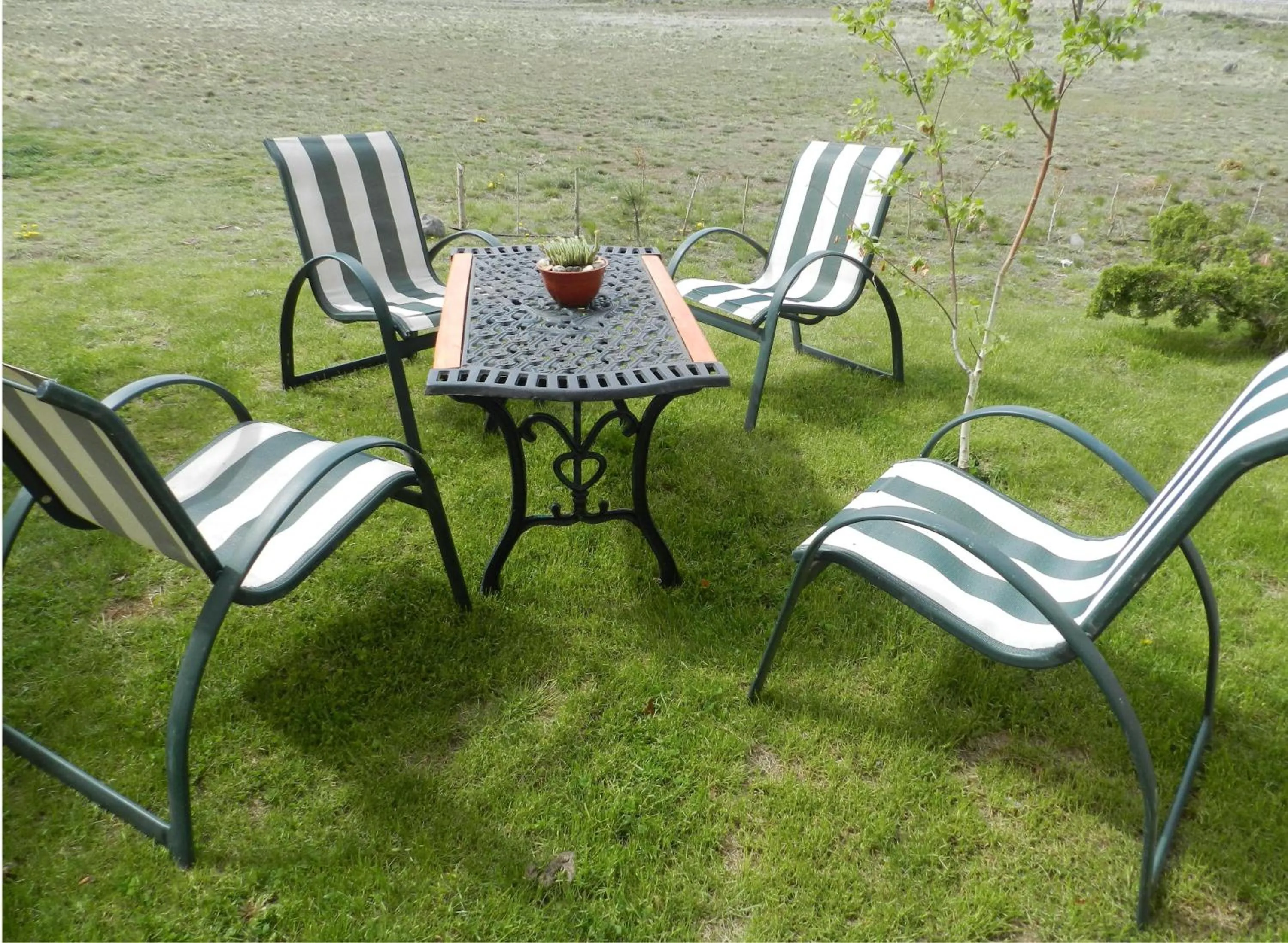 Garden in Glaciares De La Patagonia