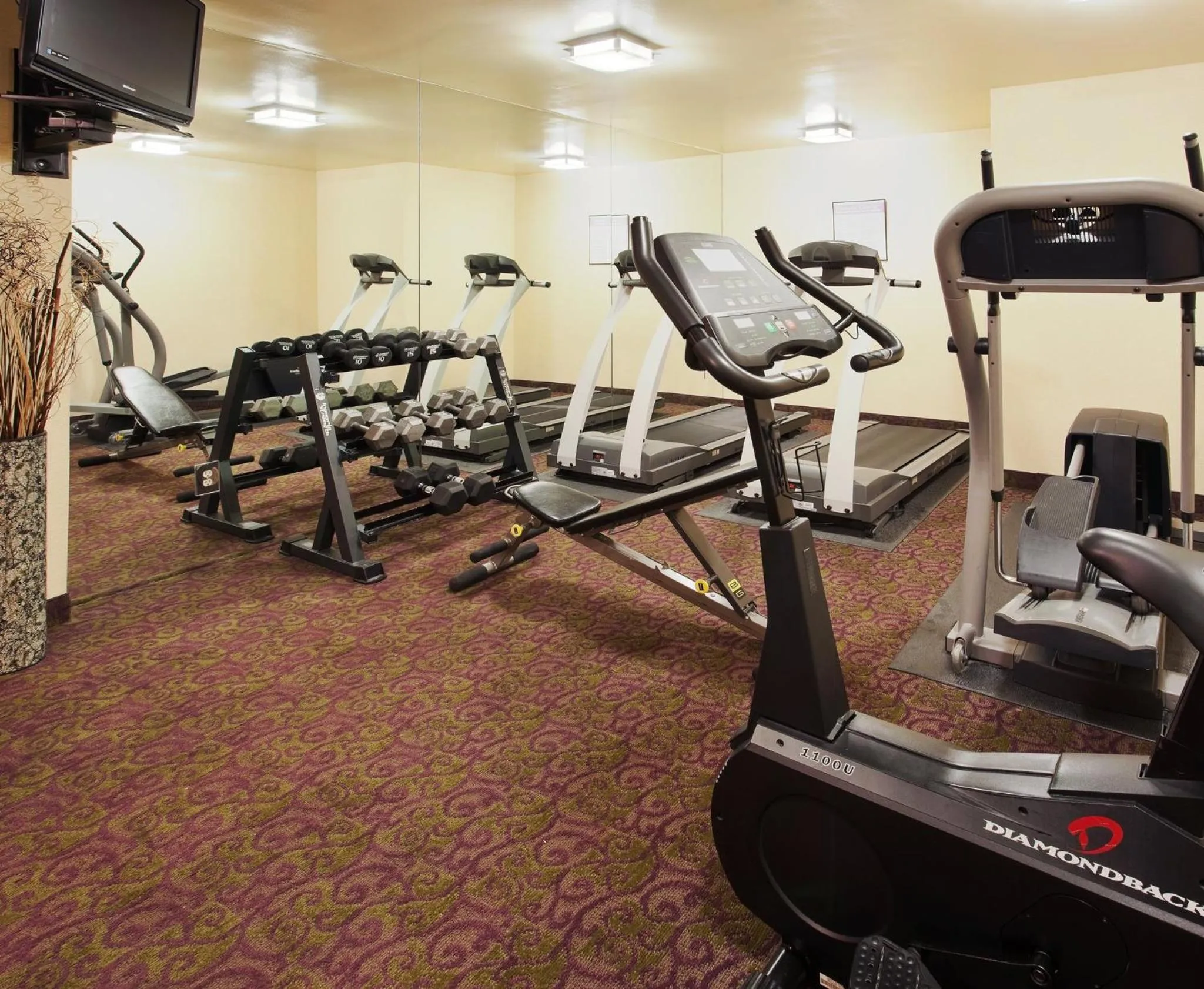 Fitness centre/facilities in Holiday Inn Express Union City San Jose by IHG