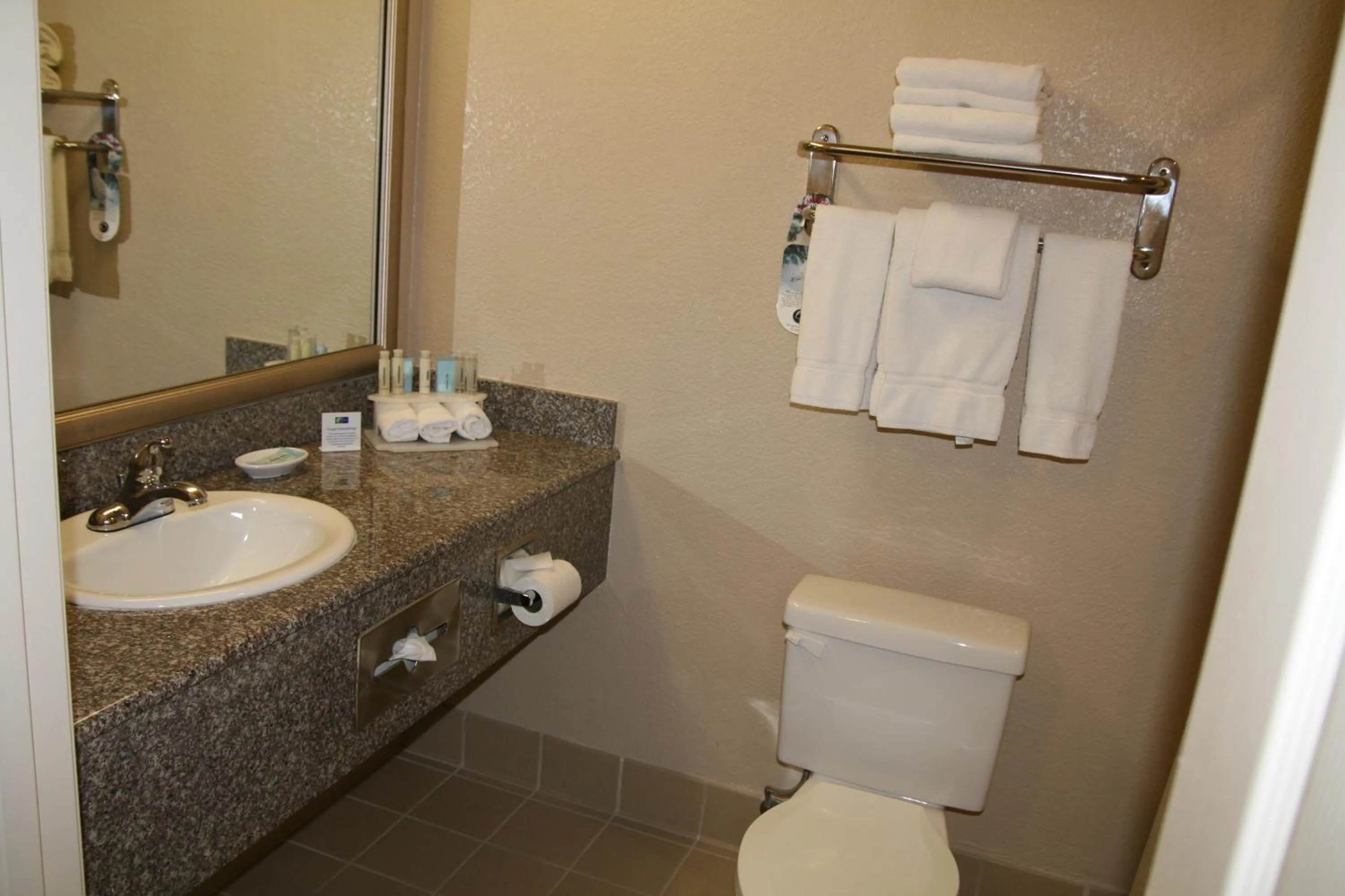 Bathroom in Holiday Inn Express Union City San Jose by IHG