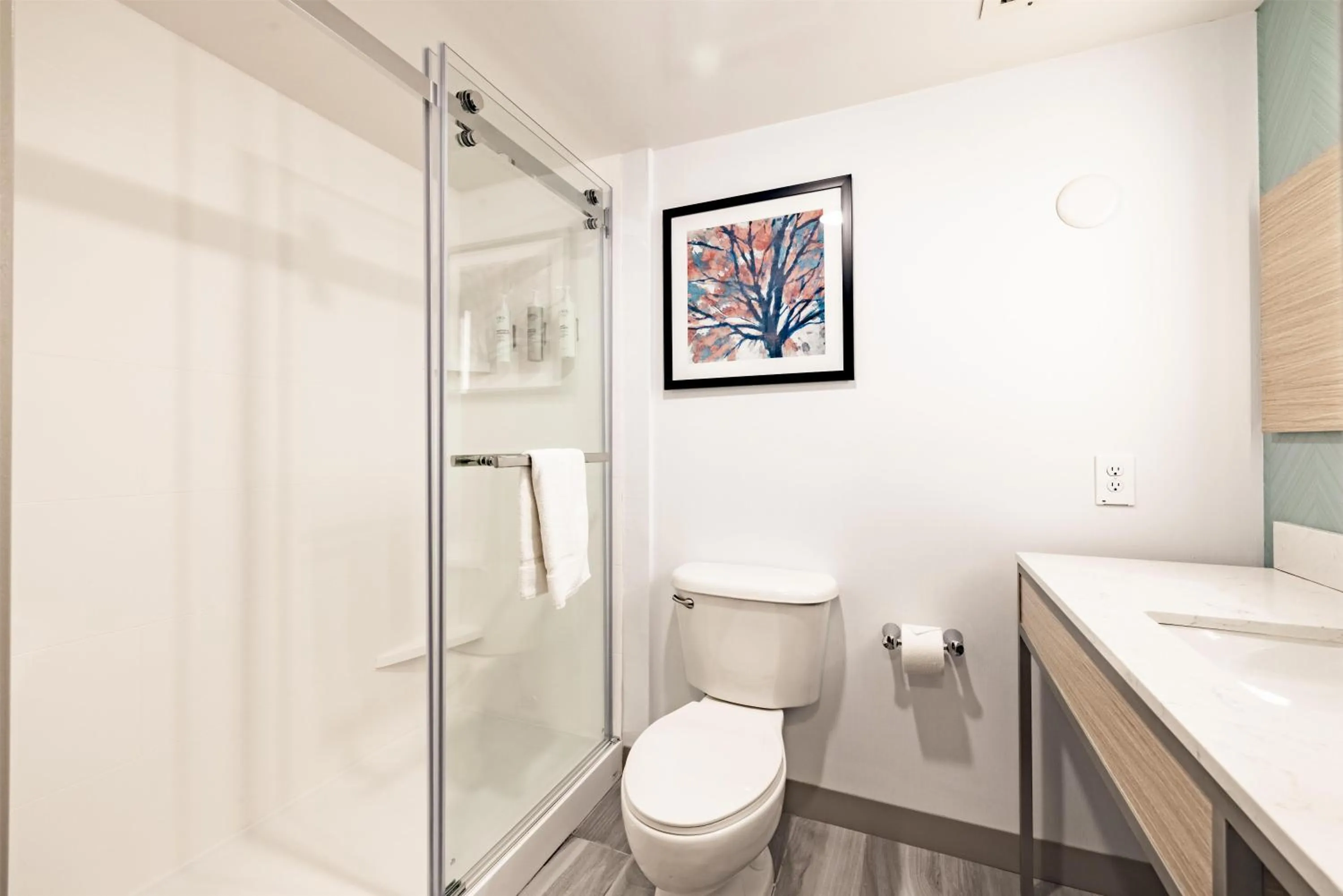 Bathroom in Hilton Garden Inn Albany