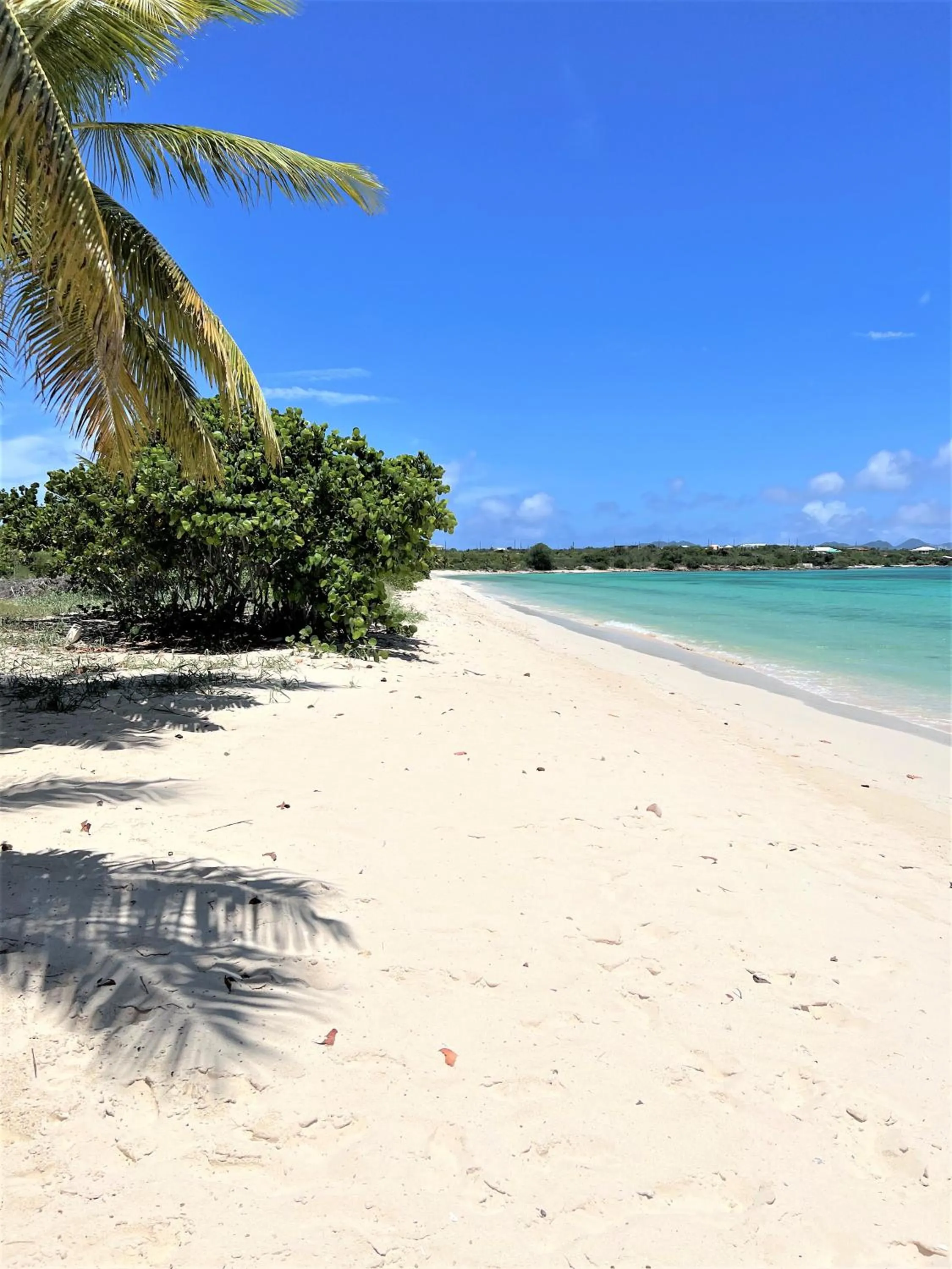 Nearby landmark in Rendezvous Bay Hotel
