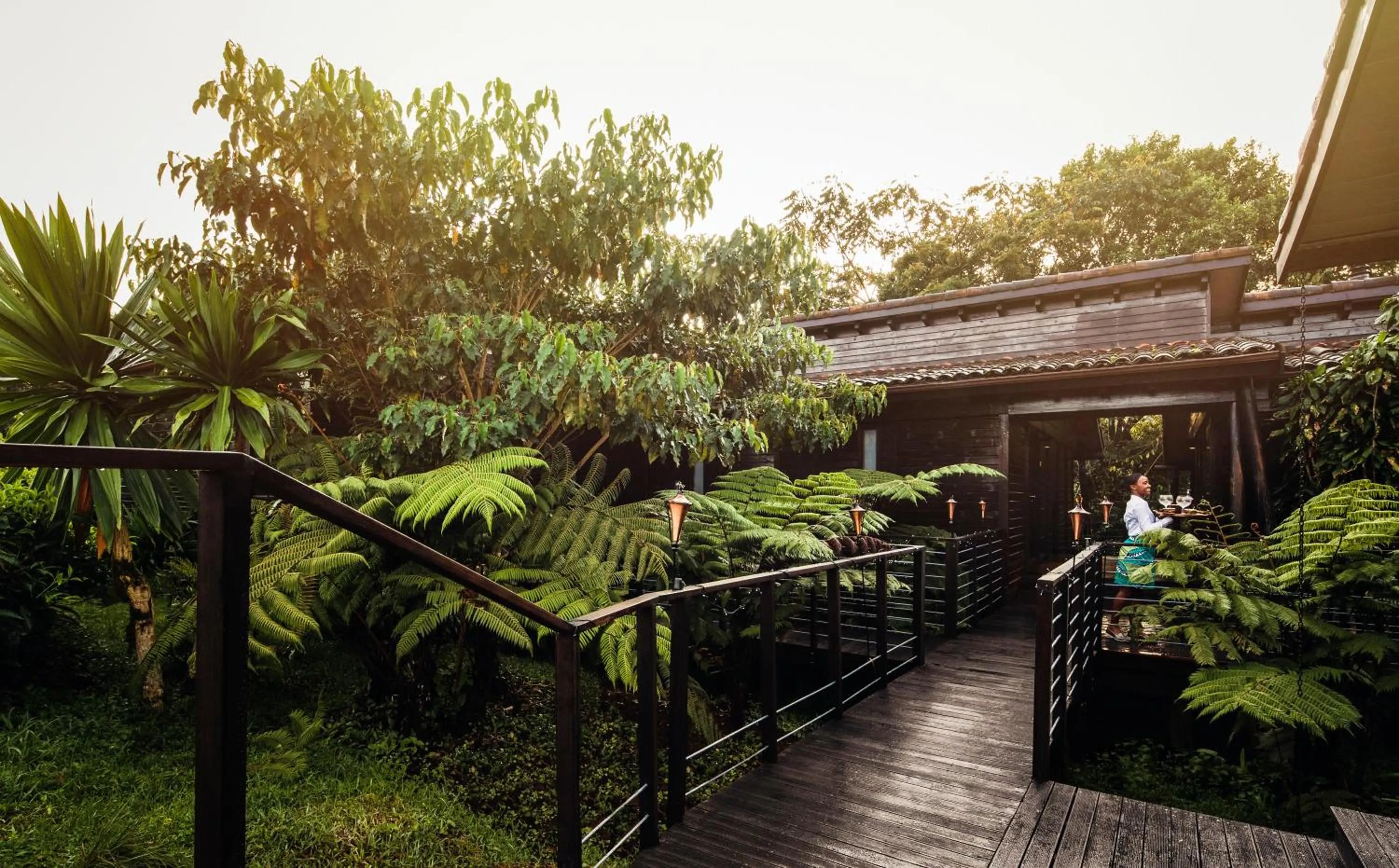 Garden in One&Only Nyungwe House