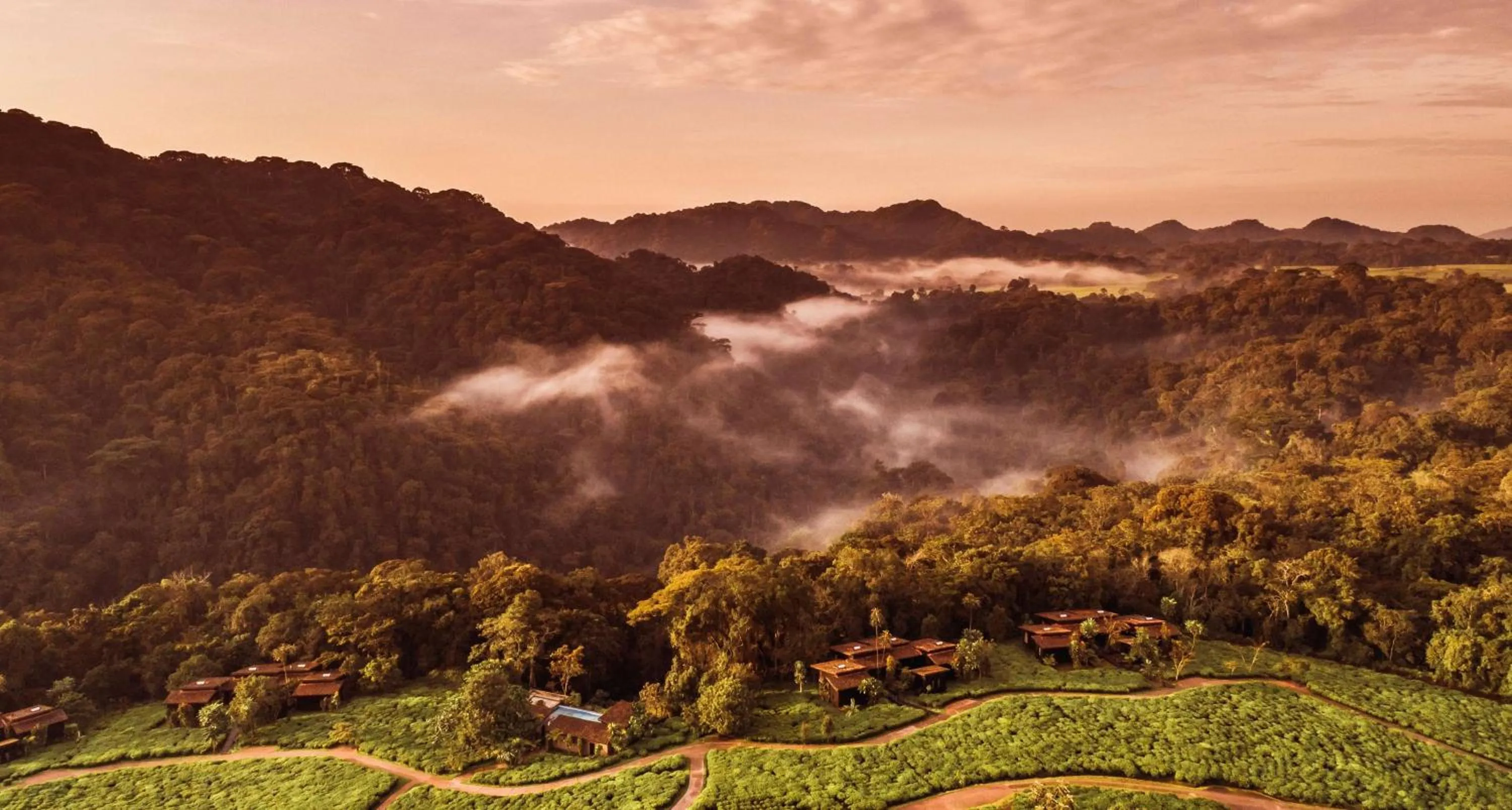 Natural landscape in One&Only Nyungwe House