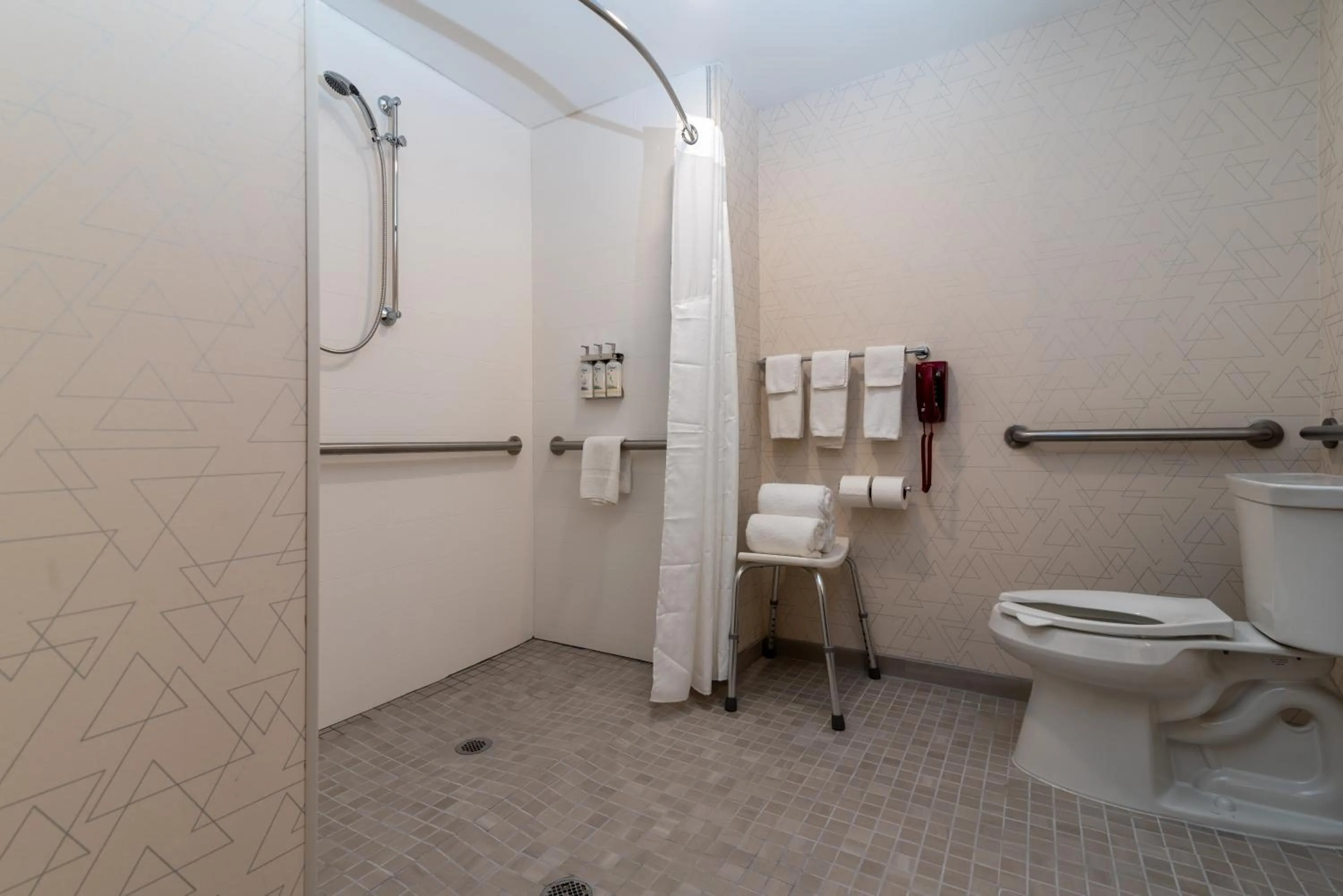 Toilet in Holiday Inn Express Hotel & Suites Hampton South-Seabrook by IHG