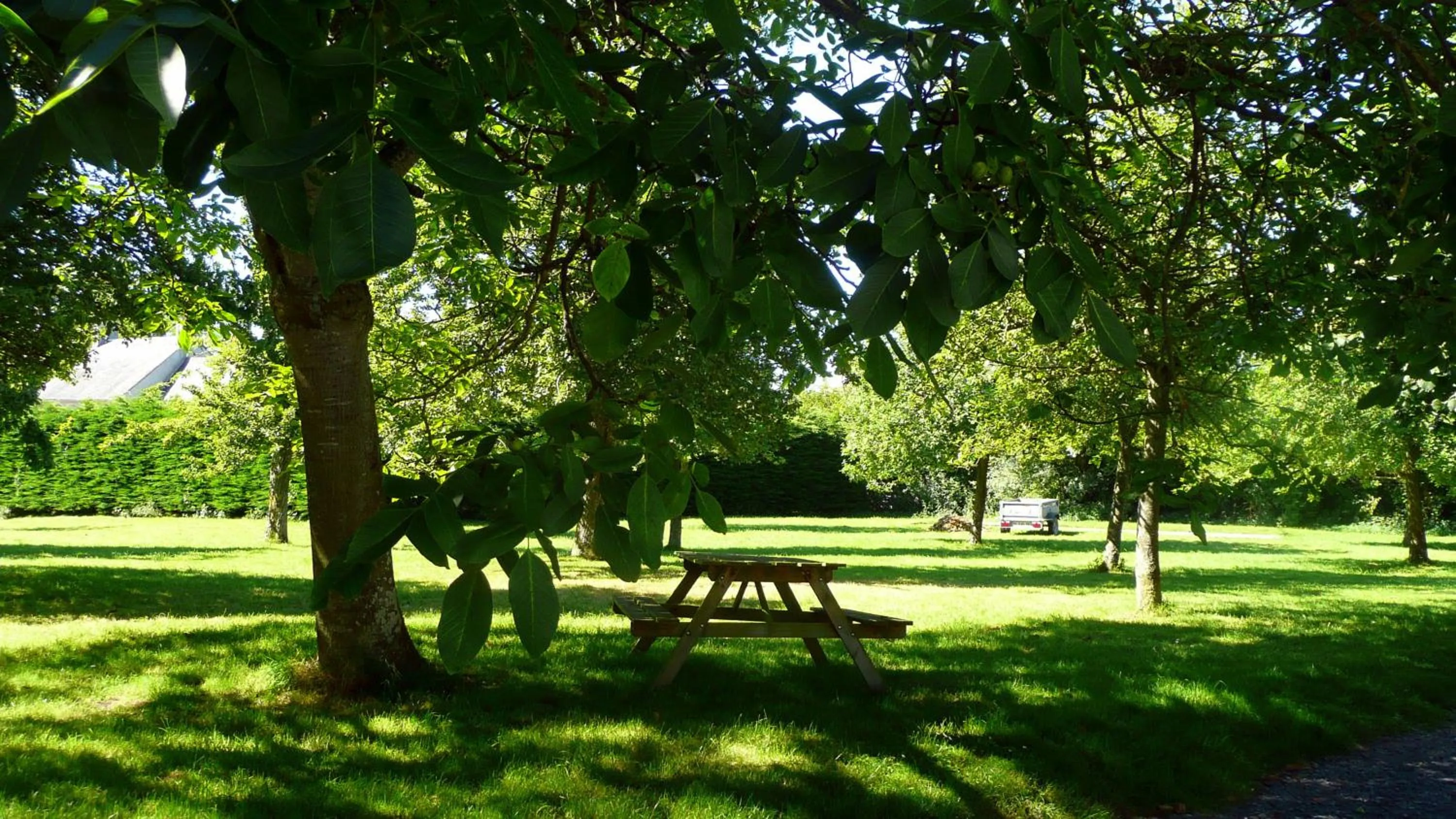 Garden view in Domaine De La Cour Vautier
