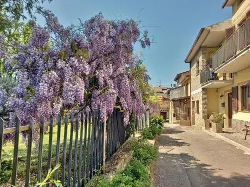 B&B TorreMatta B&B TorreMatta