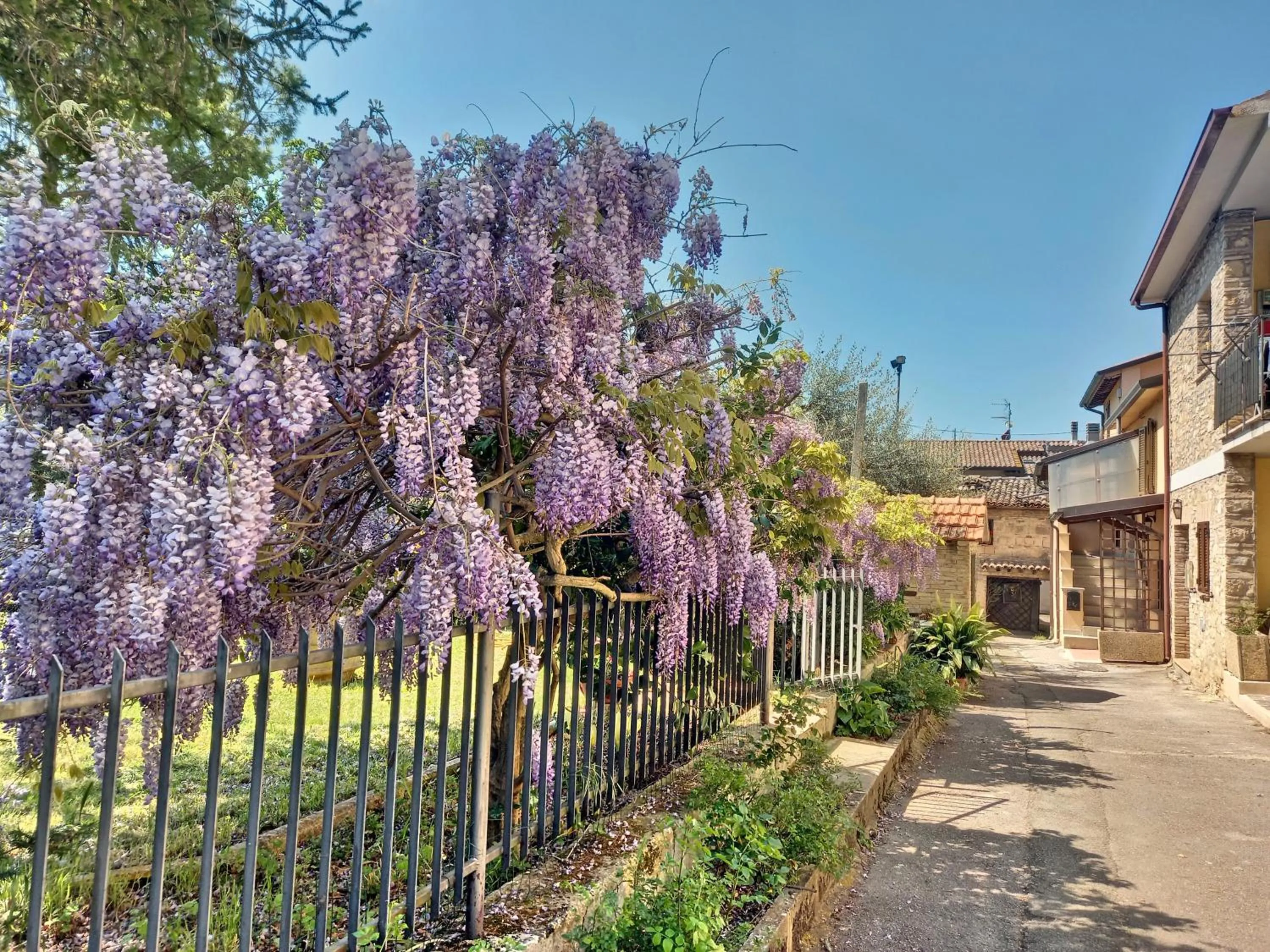 Other in B&B TorreMatta