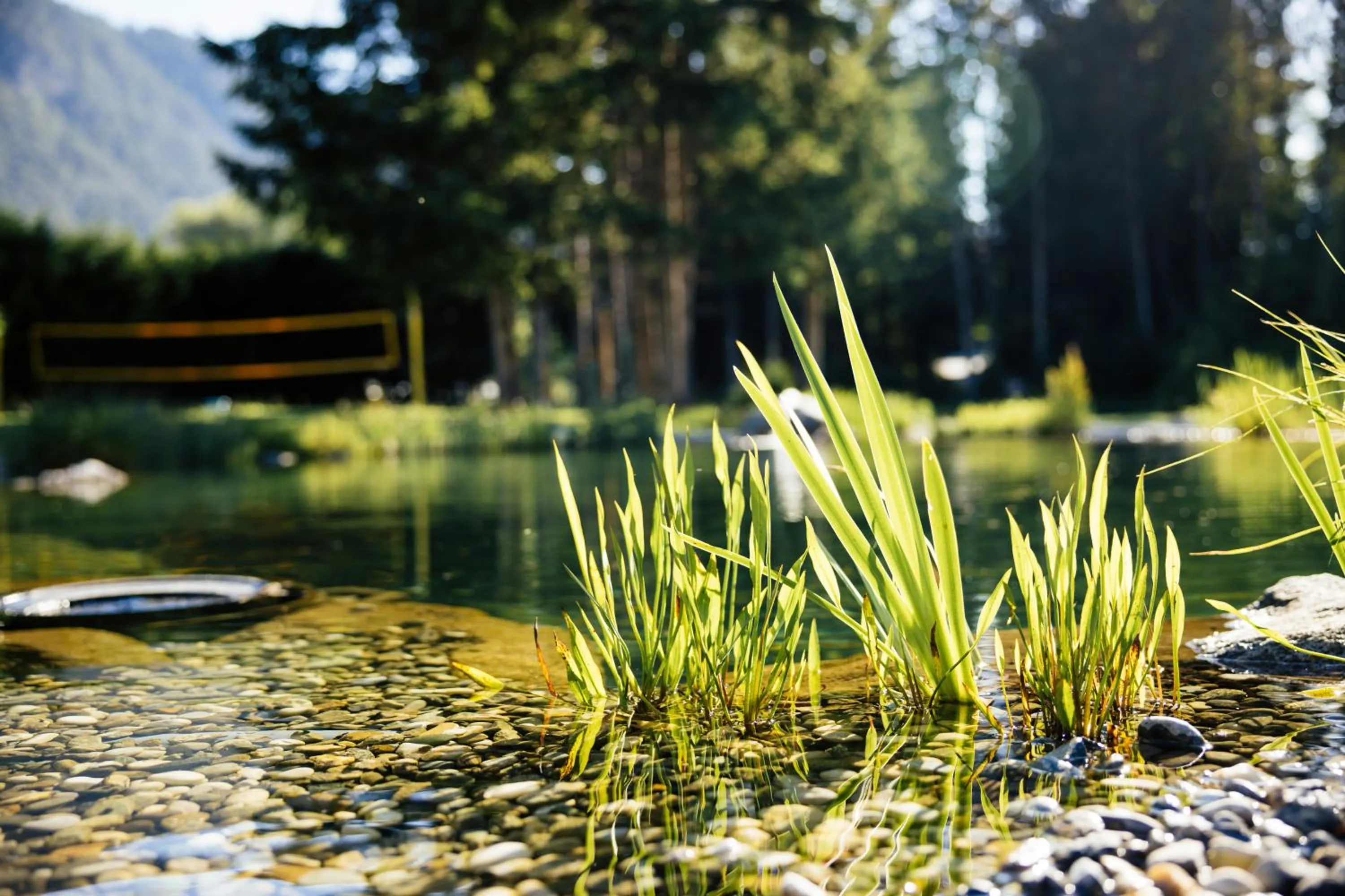 Swimming pool in Hotel Gasthof Hirschentenne