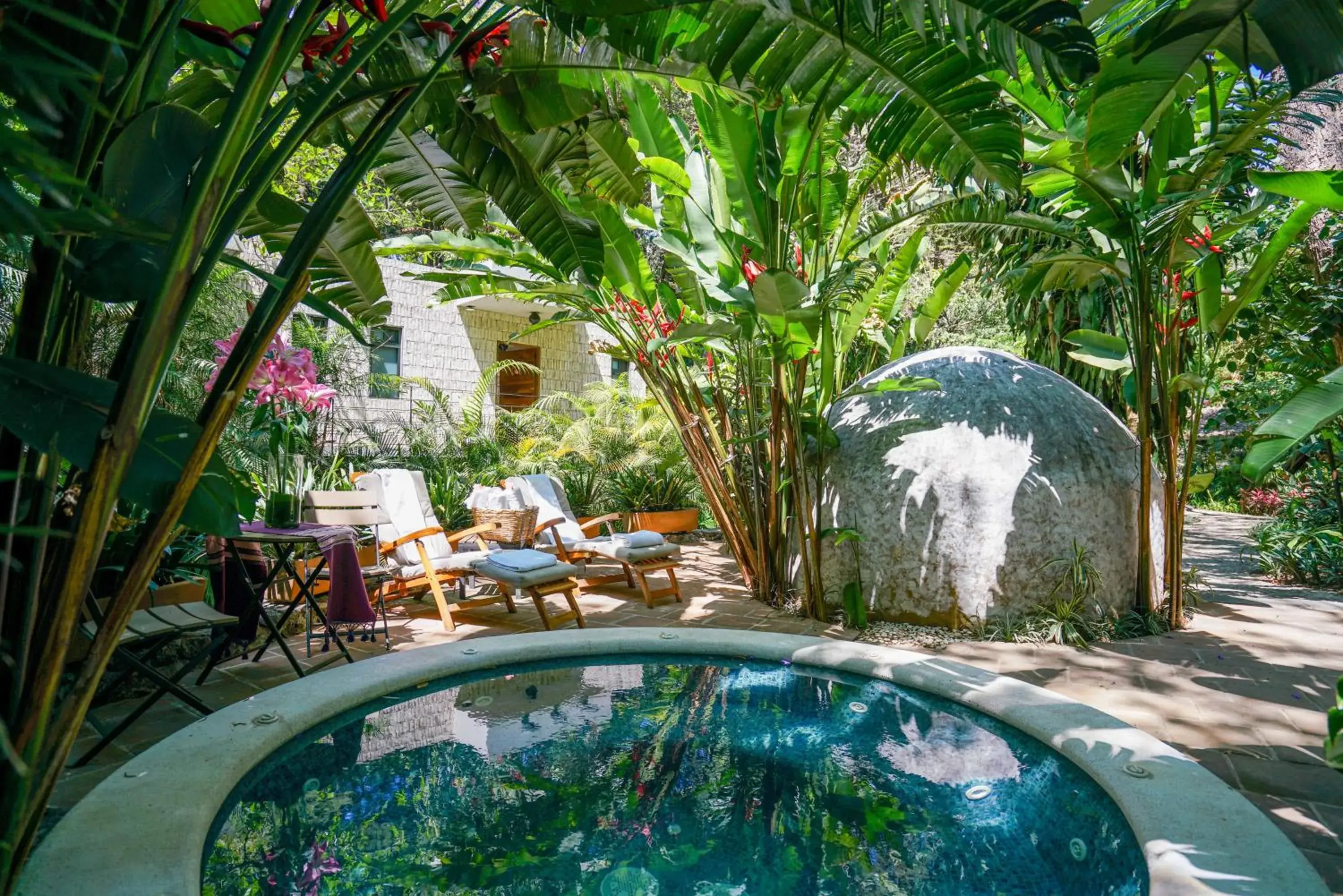 Spa and wellness centre/facilities in Amomoxtli Spa and wellness centre/facilities in Amomoxtli