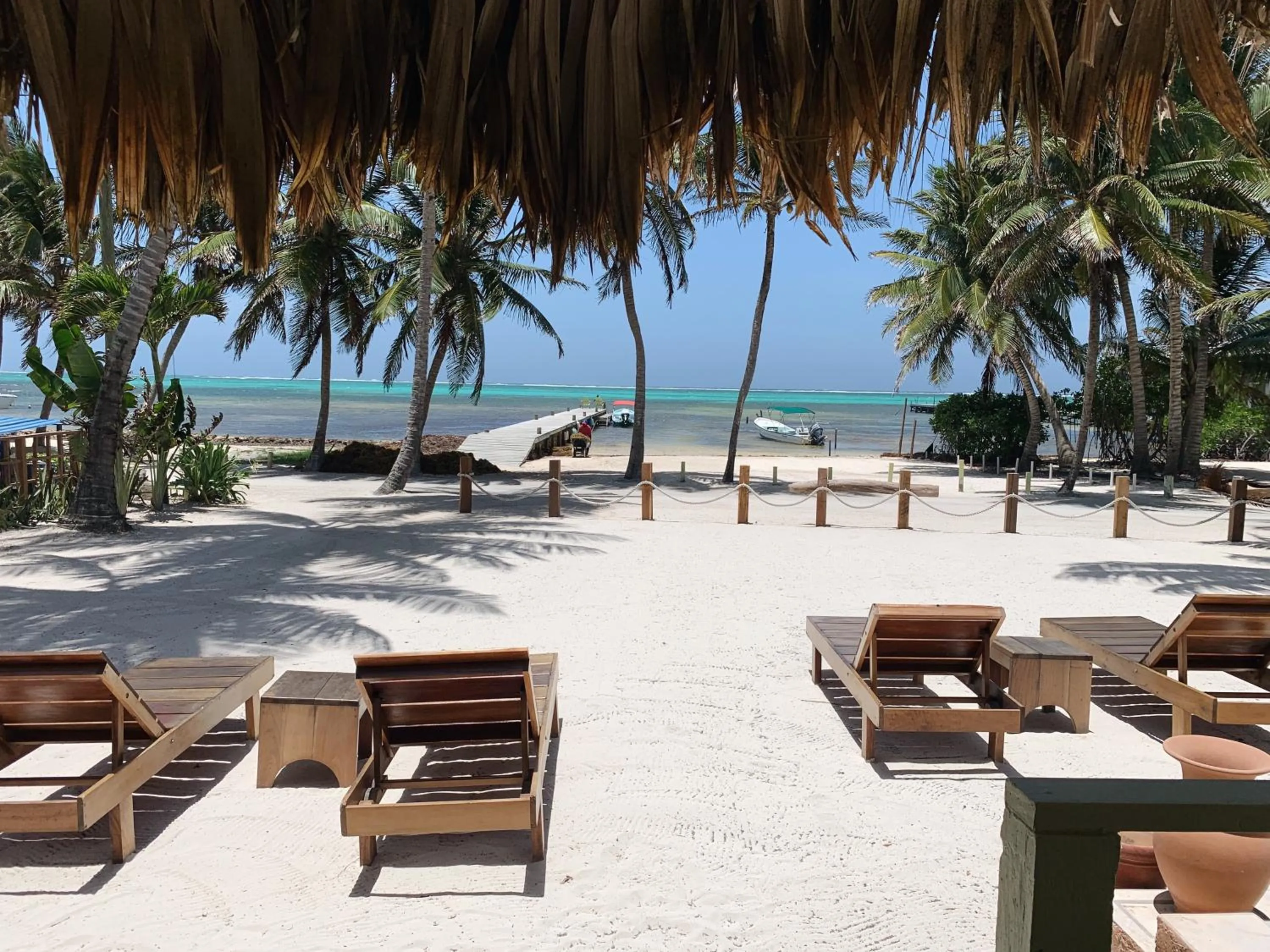 View (from property/room) in Caye Casa