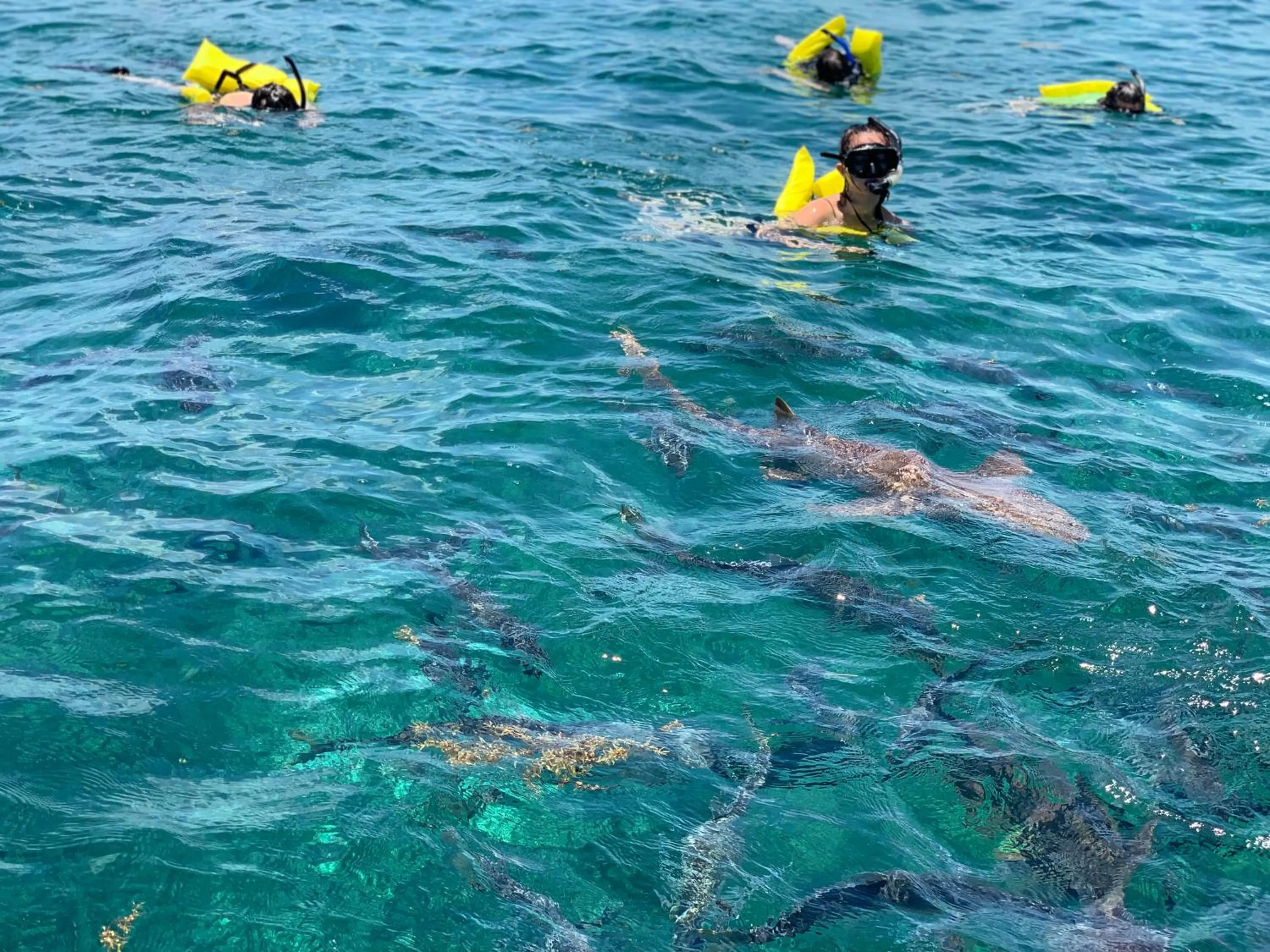 Activities in Caye Casa