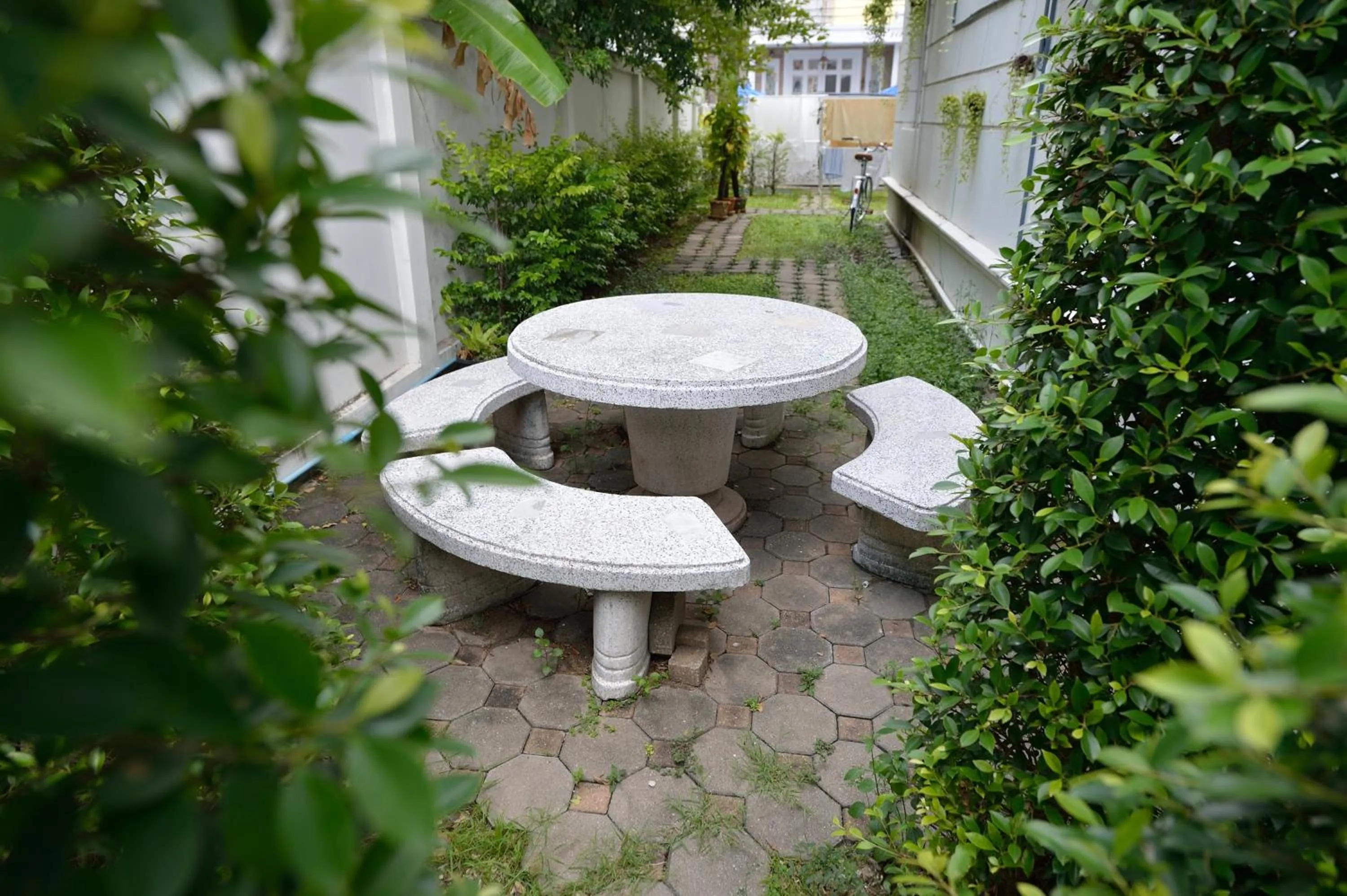 Garden in Lost and Found Hideaway