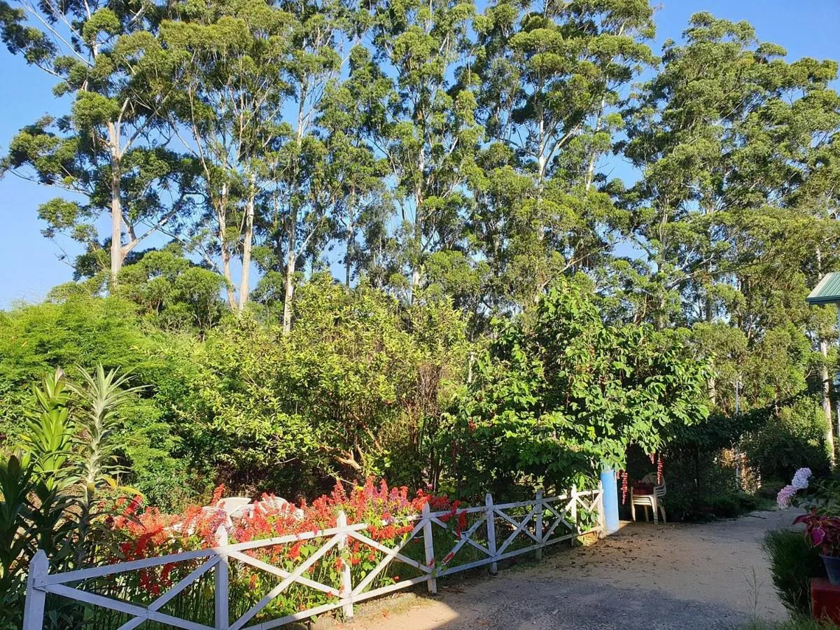 Spring in Panorama Green View Hotel Nuwara Eliya