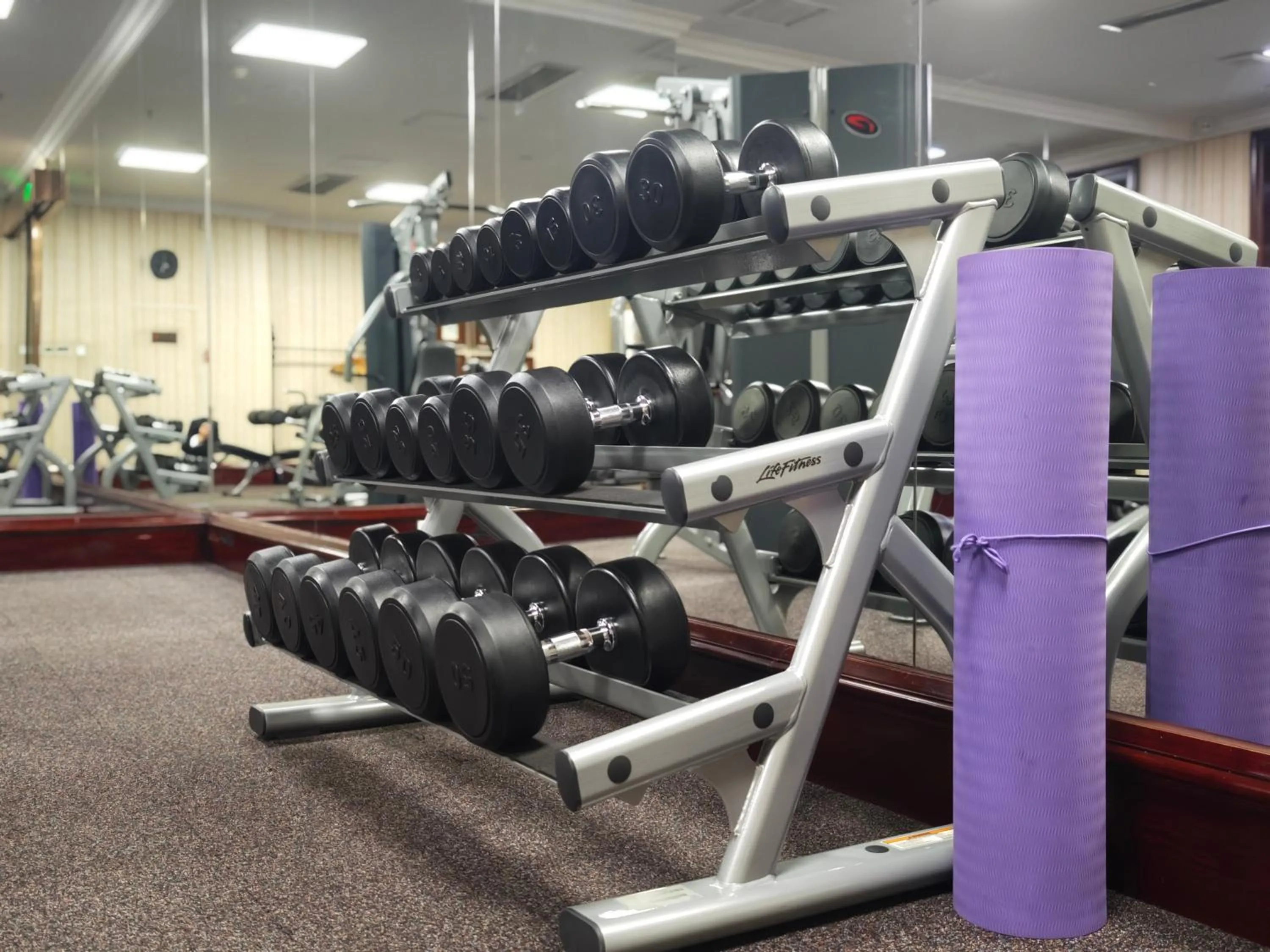 Fitness centre/facilities in Royal Grace Hotel Optics Valley Wuhan