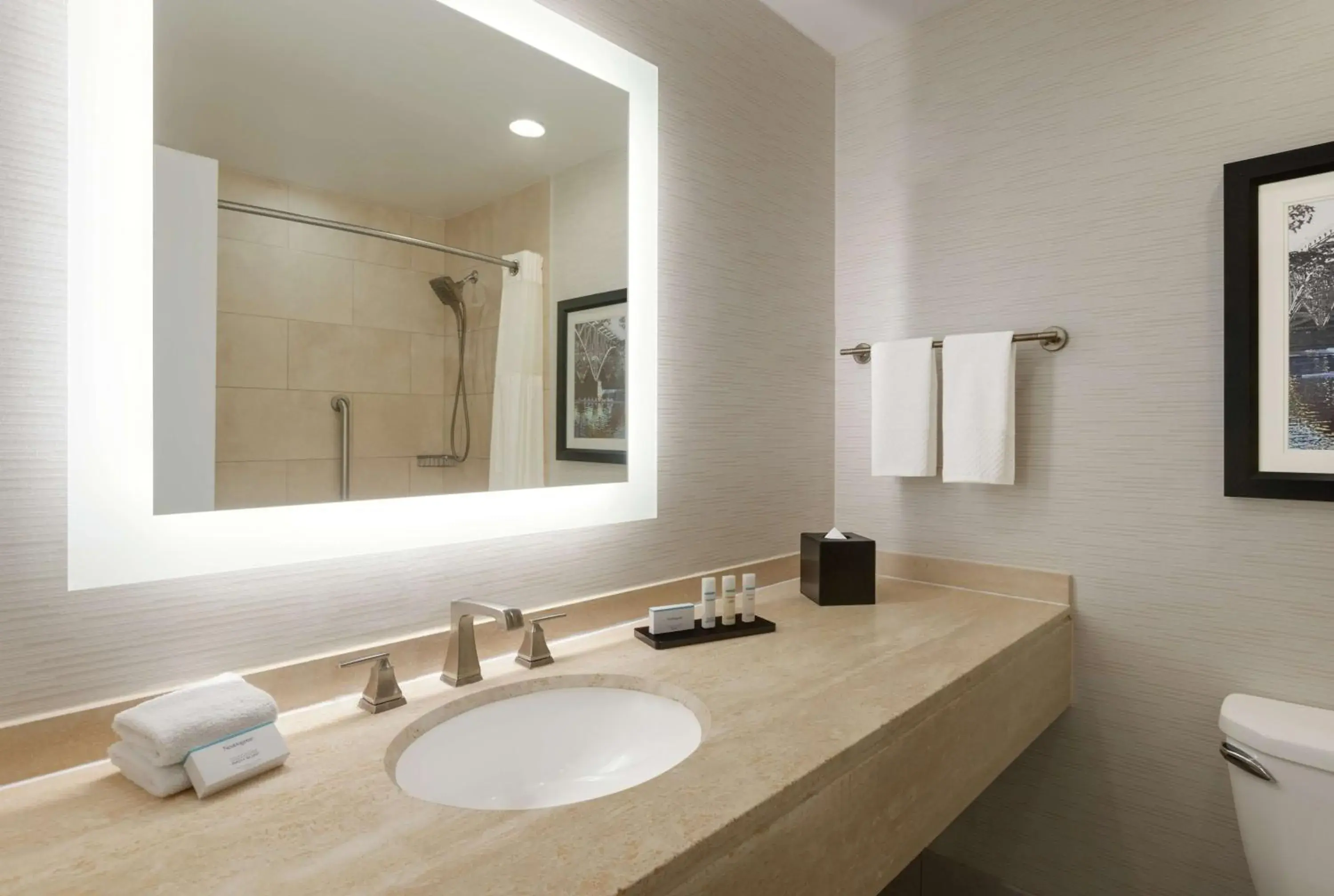 Bathroom in Embassy Suites by Hilton Philadelphia Valley Forge Bathroom in Embassy Suites by Hilton Philadelphia Valley Forge