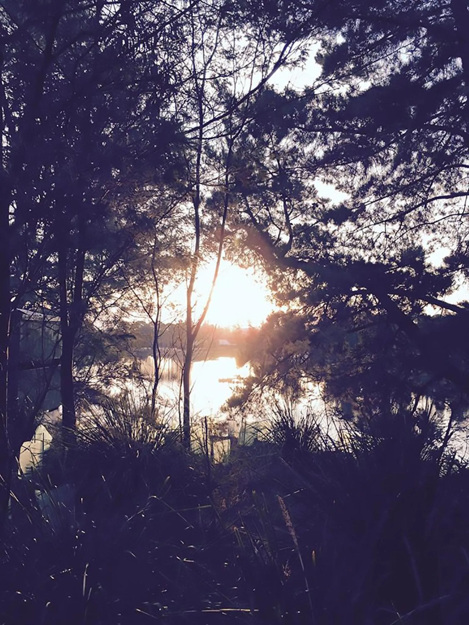 Nearby landmark in The Graces Beechworth