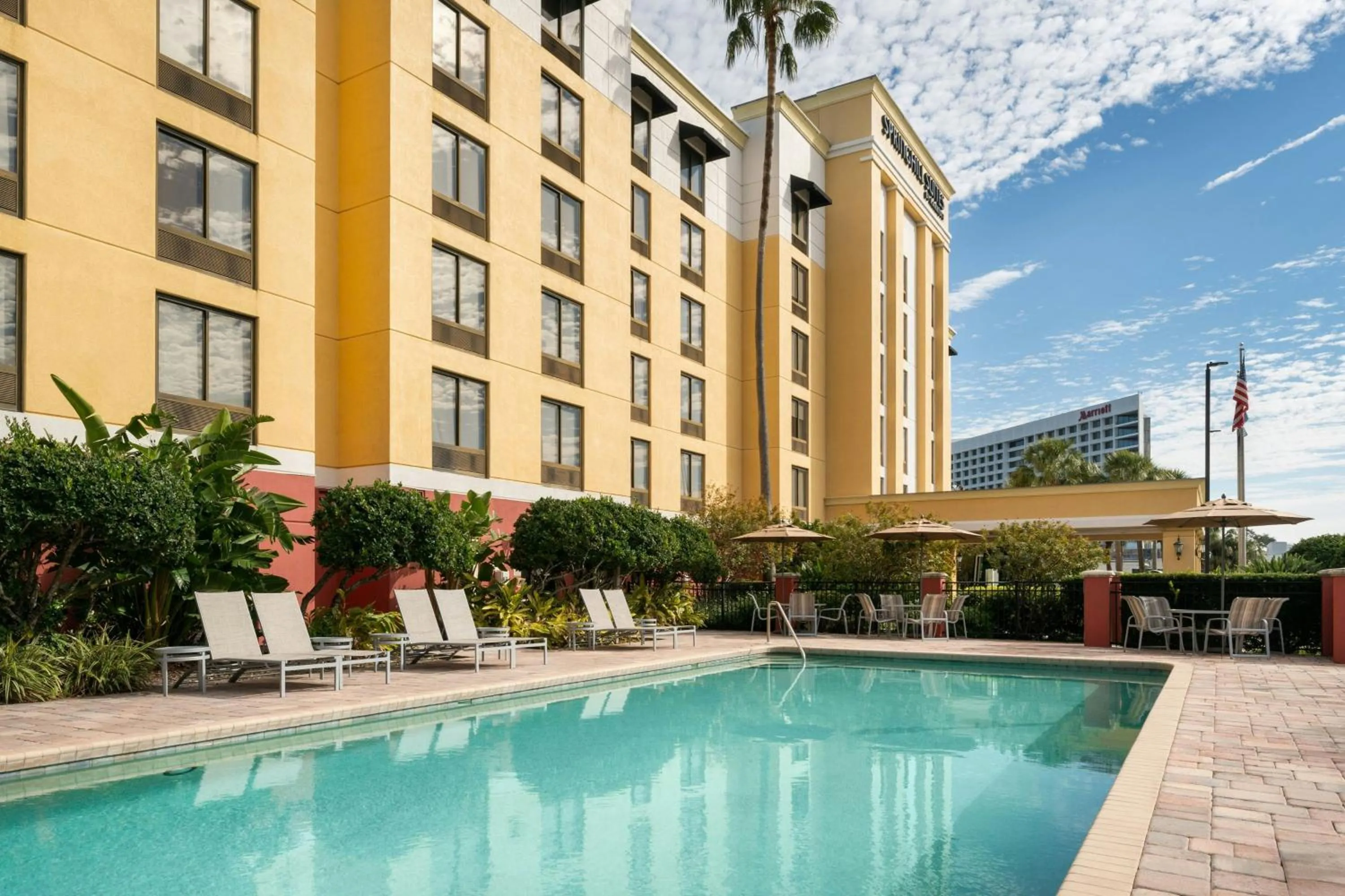 Swimming pool in SpringHill Suites by Marriott Tampa Westshore