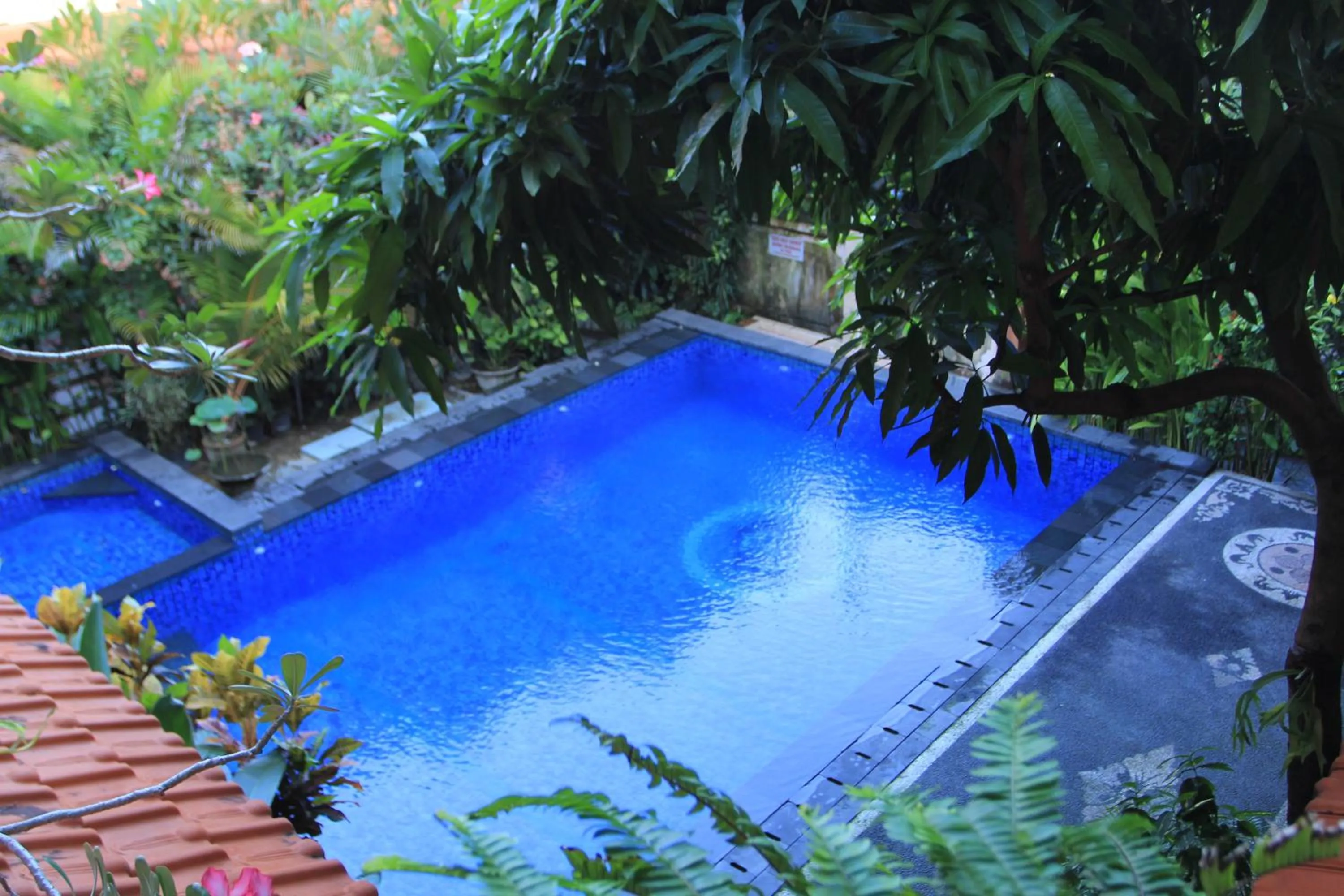 Swimming pool in Losmen Cempaka 3