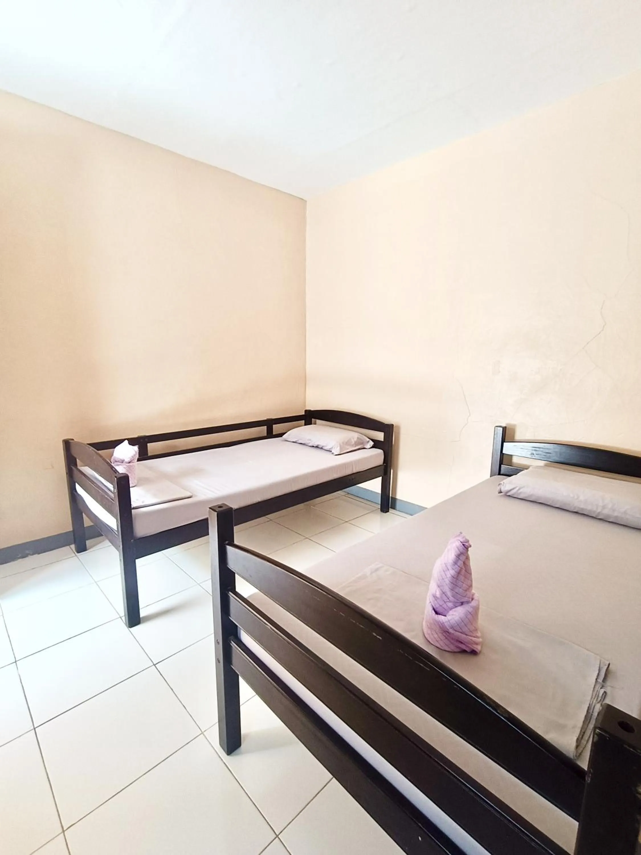 Deluxe Double or Twin Room in James Homestay