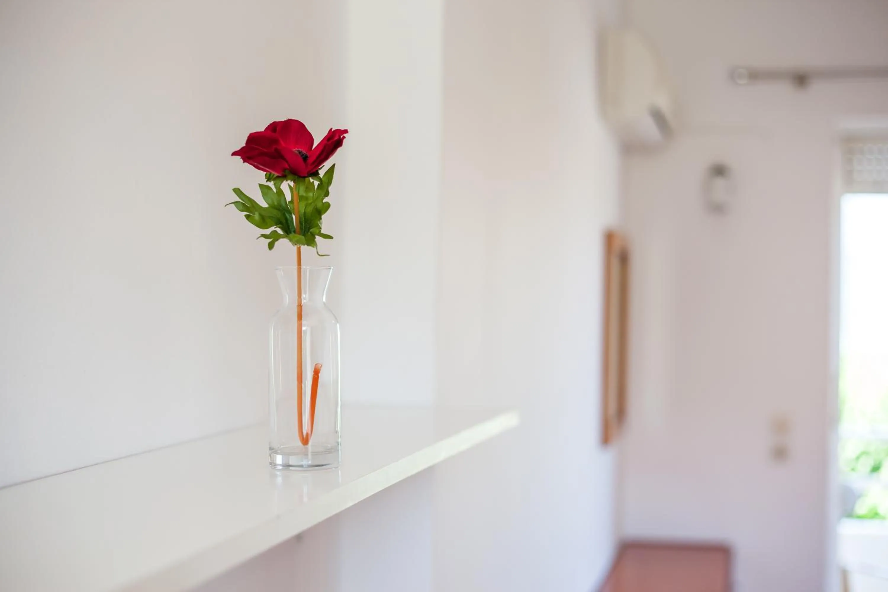 Decorative detail in Stay Helios