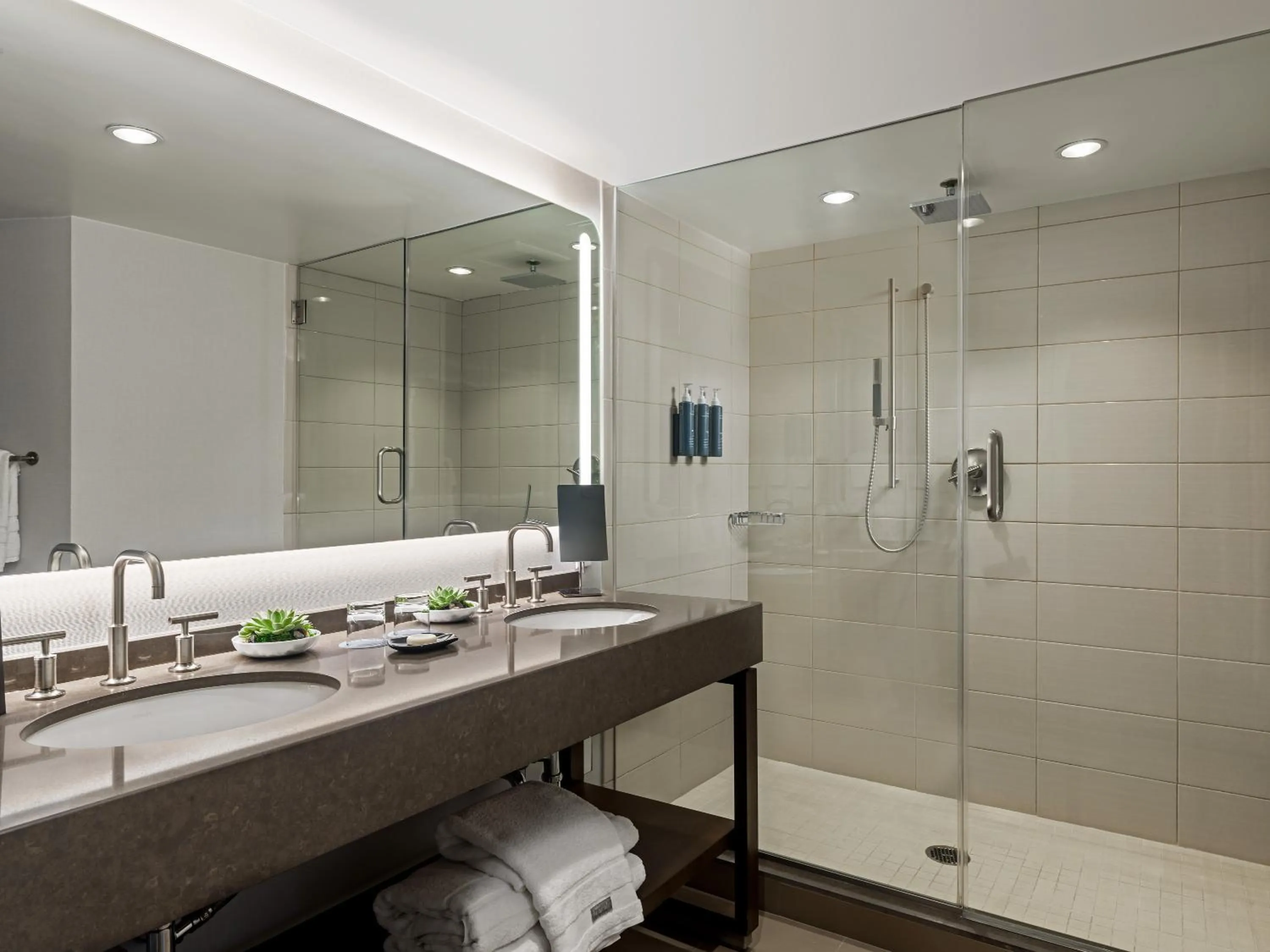 Shower in The Westin San Diego Bayview